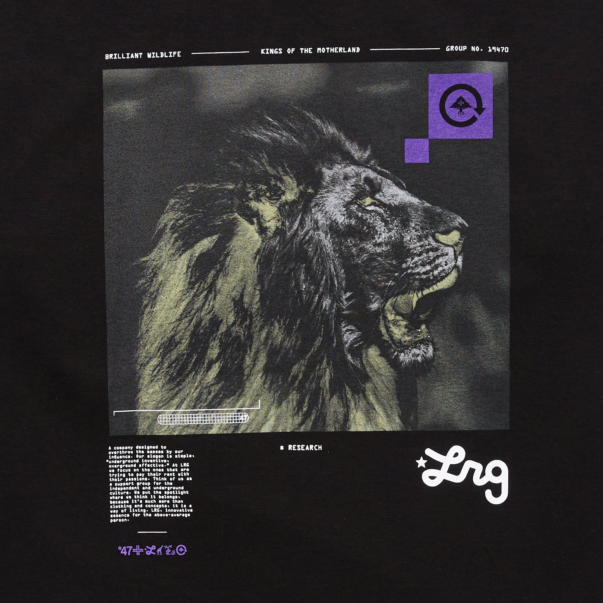 BRILLIANT WILDLIFE TEE - BLACK sold by Lrg product image thumbnail 2