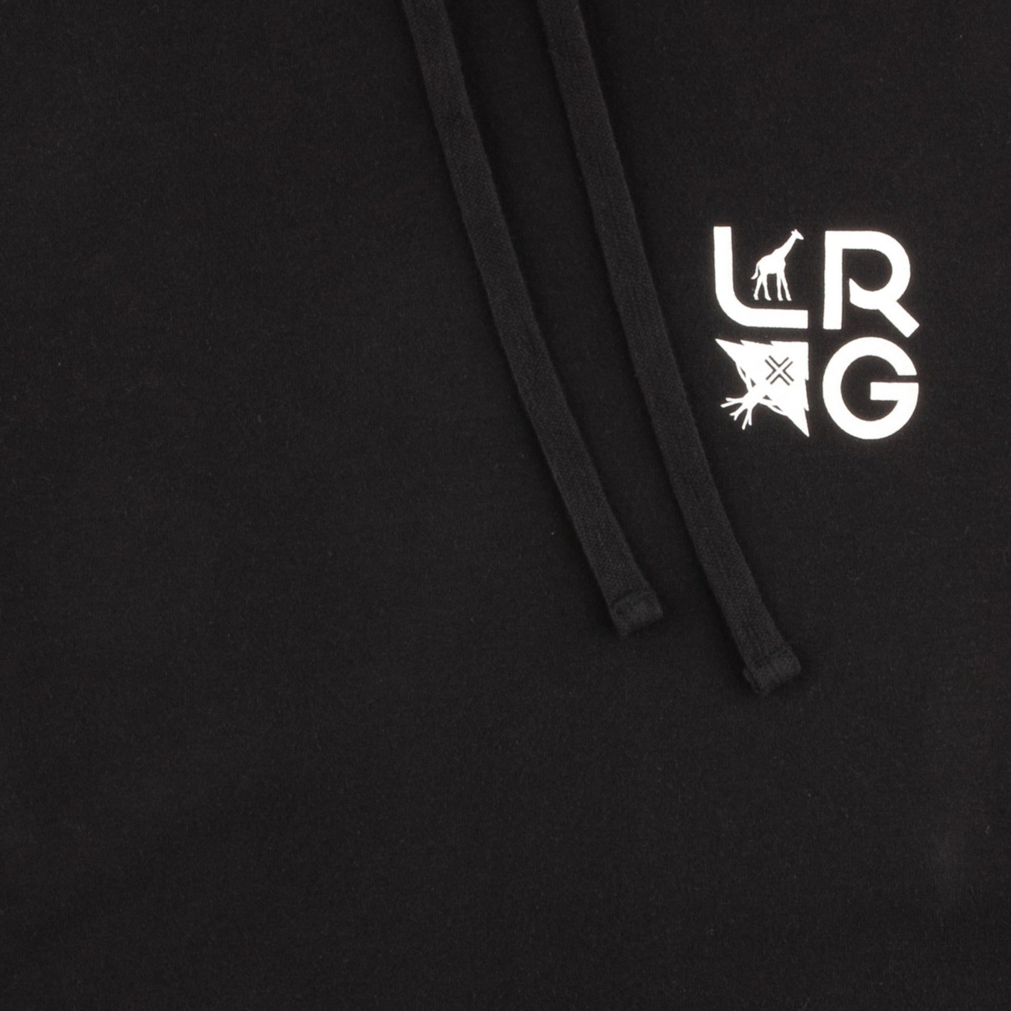 STACKED MULTI LOGO PULLOVER HOODIE - BLACK sold by Lrg product image thumbnail 2
