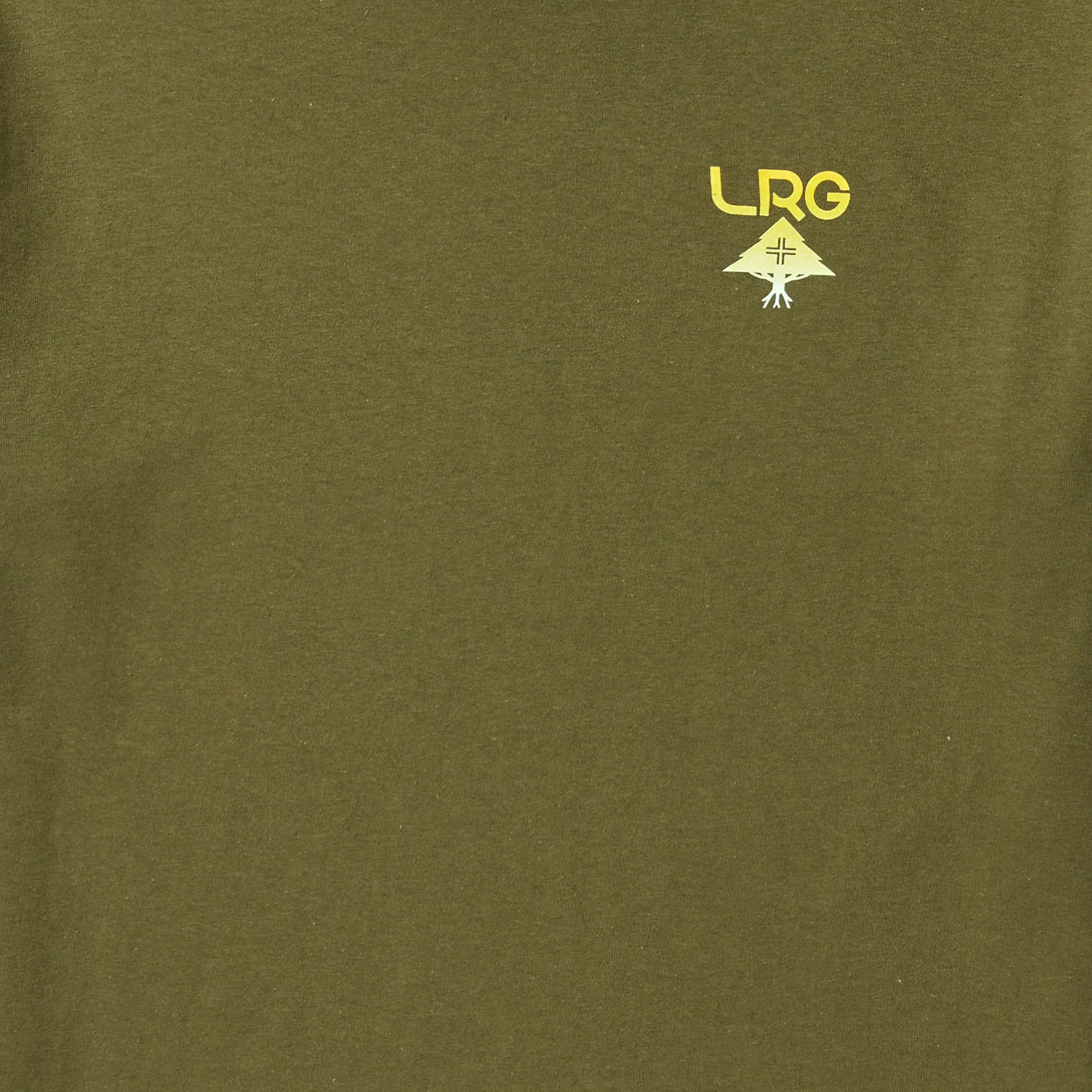 LOGO PLUS TEE - MILITARY GREEN sold by Lrg product image thumbnail 2