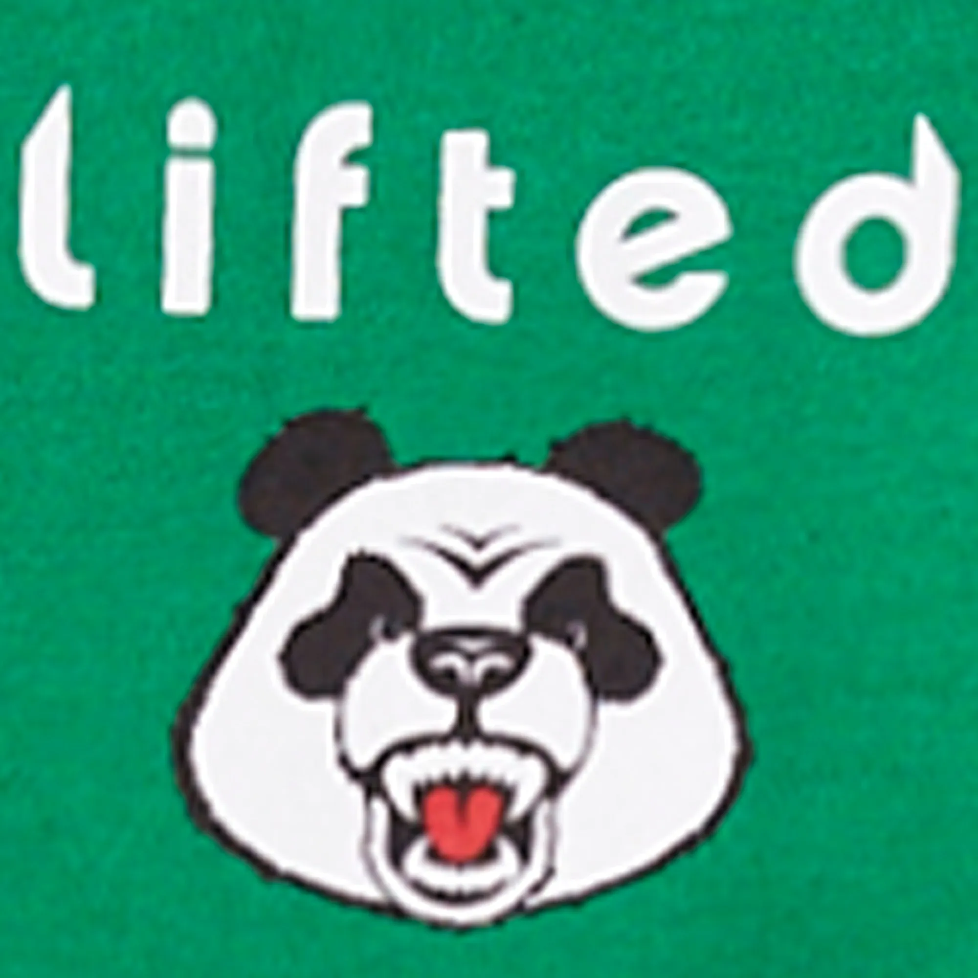 PANDA WORLD SERIES TEE - KELLEY GREEN sold by Lrg product image thumbnail 3