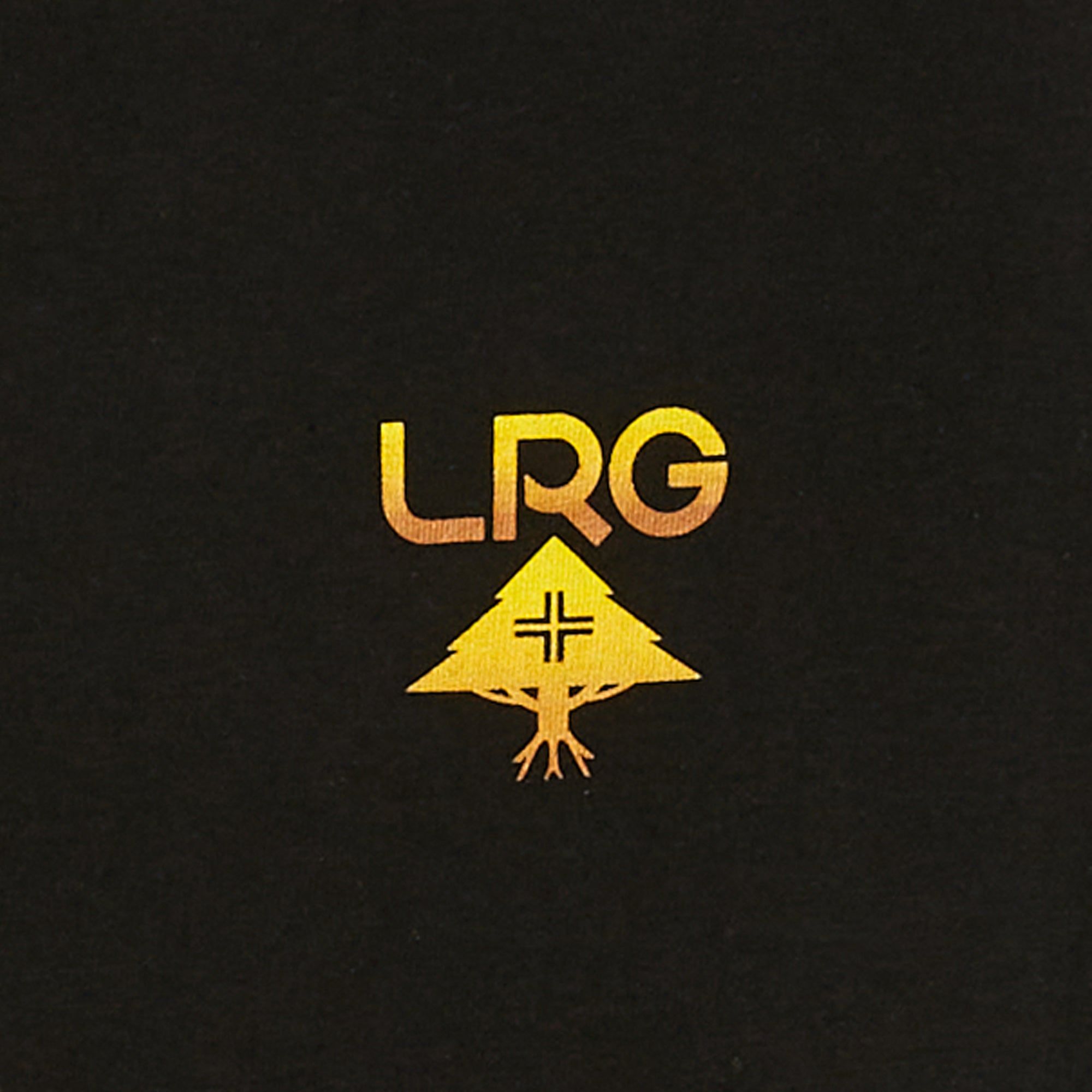 LOGO PLUS TEE - BLACK sold by Lrg product image thumbnail 2
