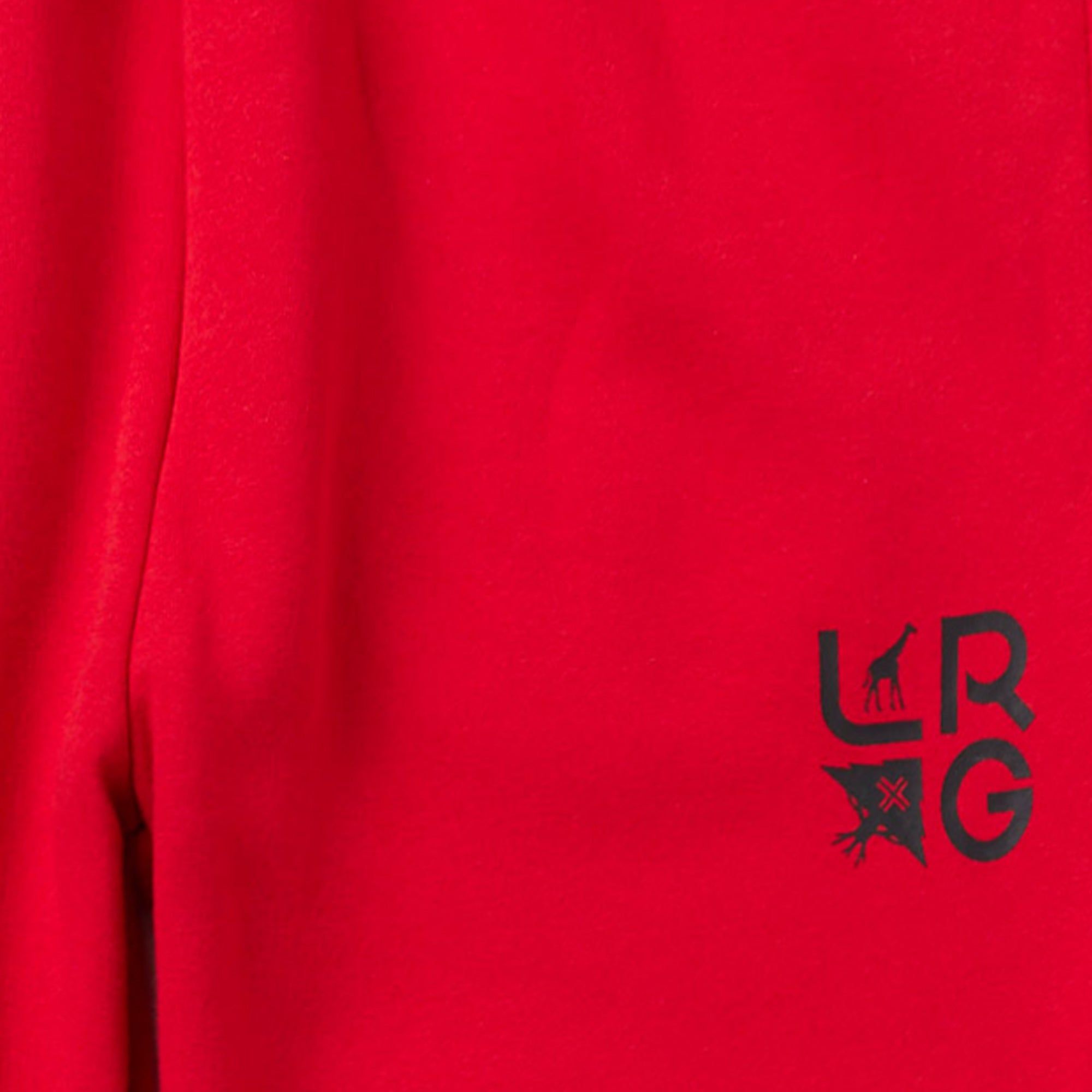 STACKED MULTI LOGO JOGGER SWEATPANTS - RED sold by Lrg product image thumbnail 3