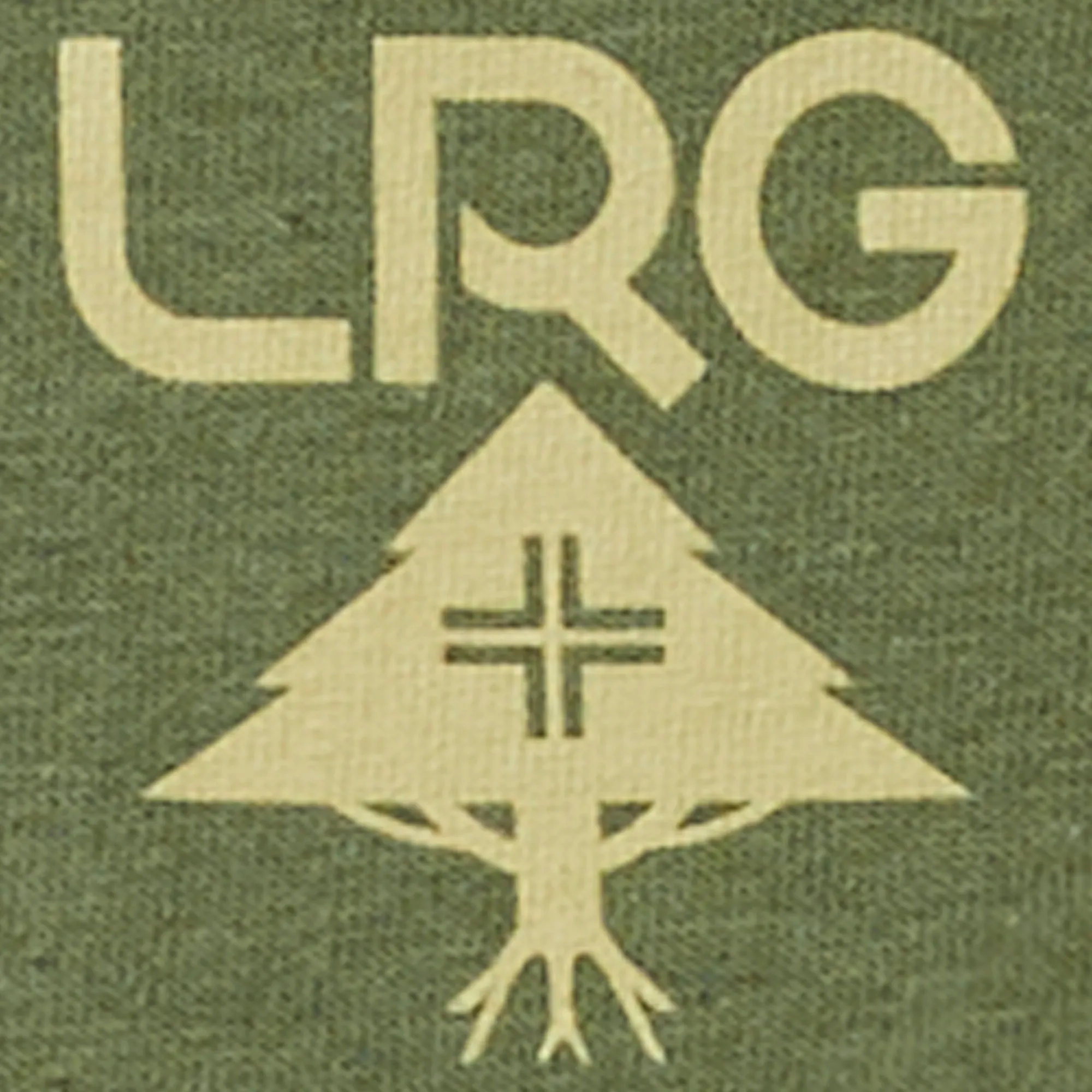 LOGO PLUS TEE - MILITARY sold by Lrg product image thumbnail 2