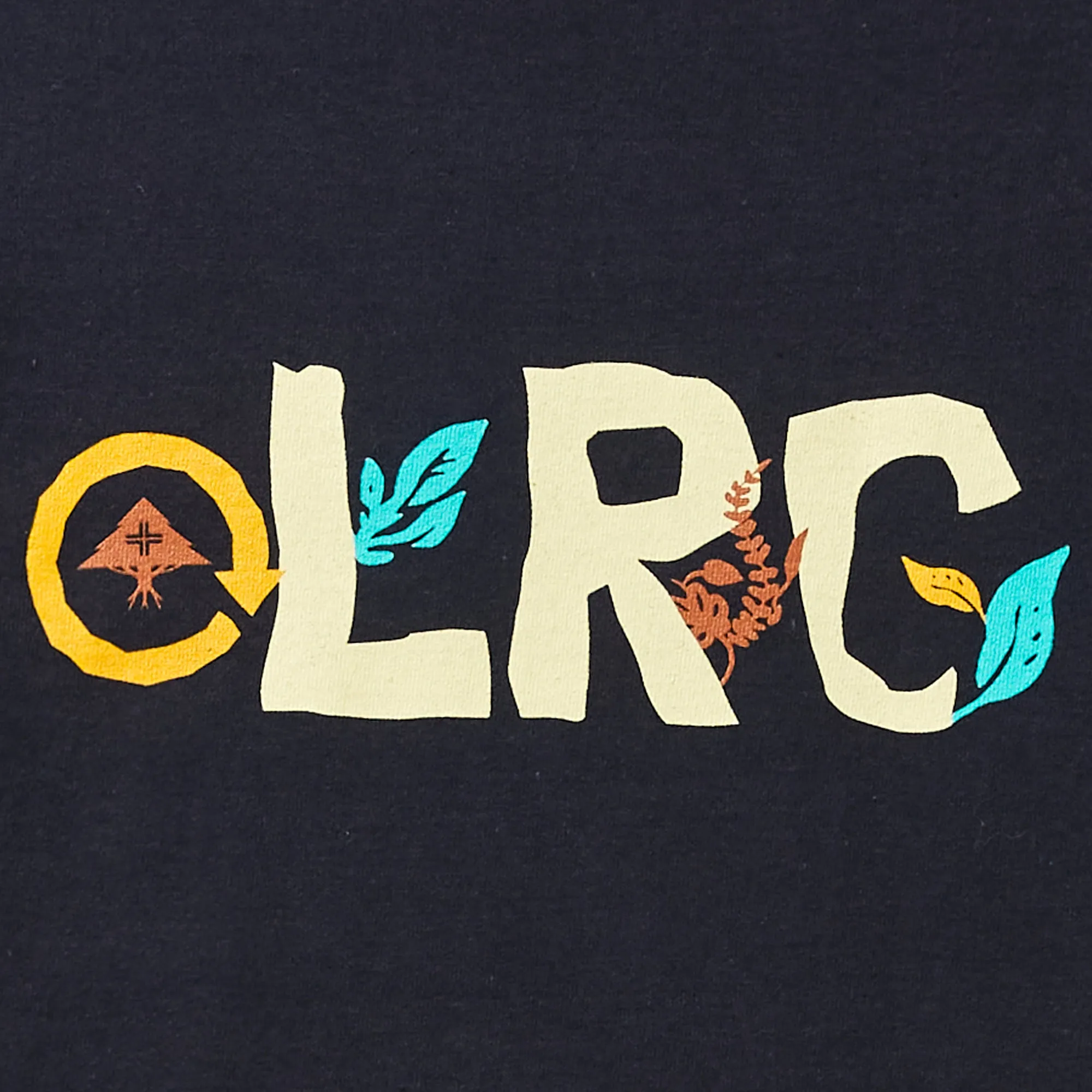 REVOLUTIONARY GROWTH TEE - NAVY sold by Lrg product image thumbnail 3