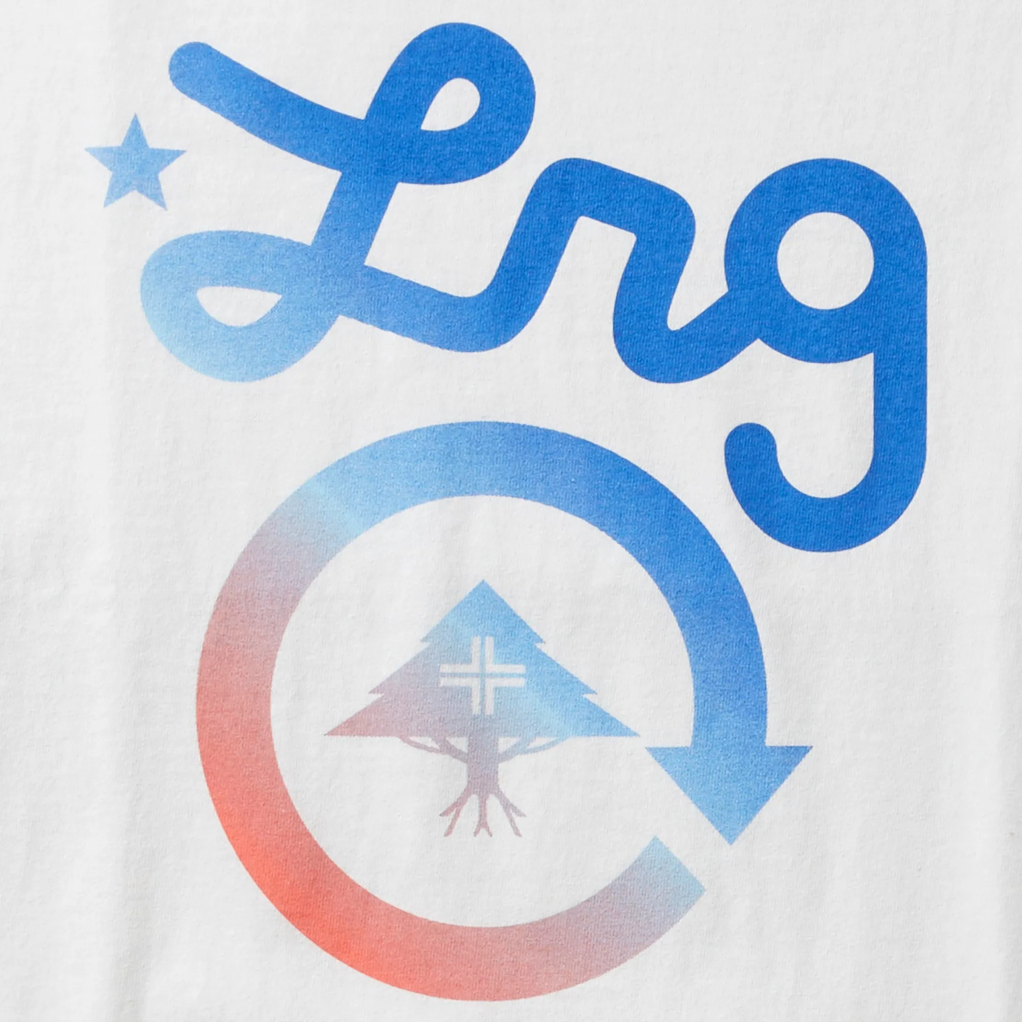 WESTERN LOGO TEE - WHITE sold by Lrg product image thumbnail 2