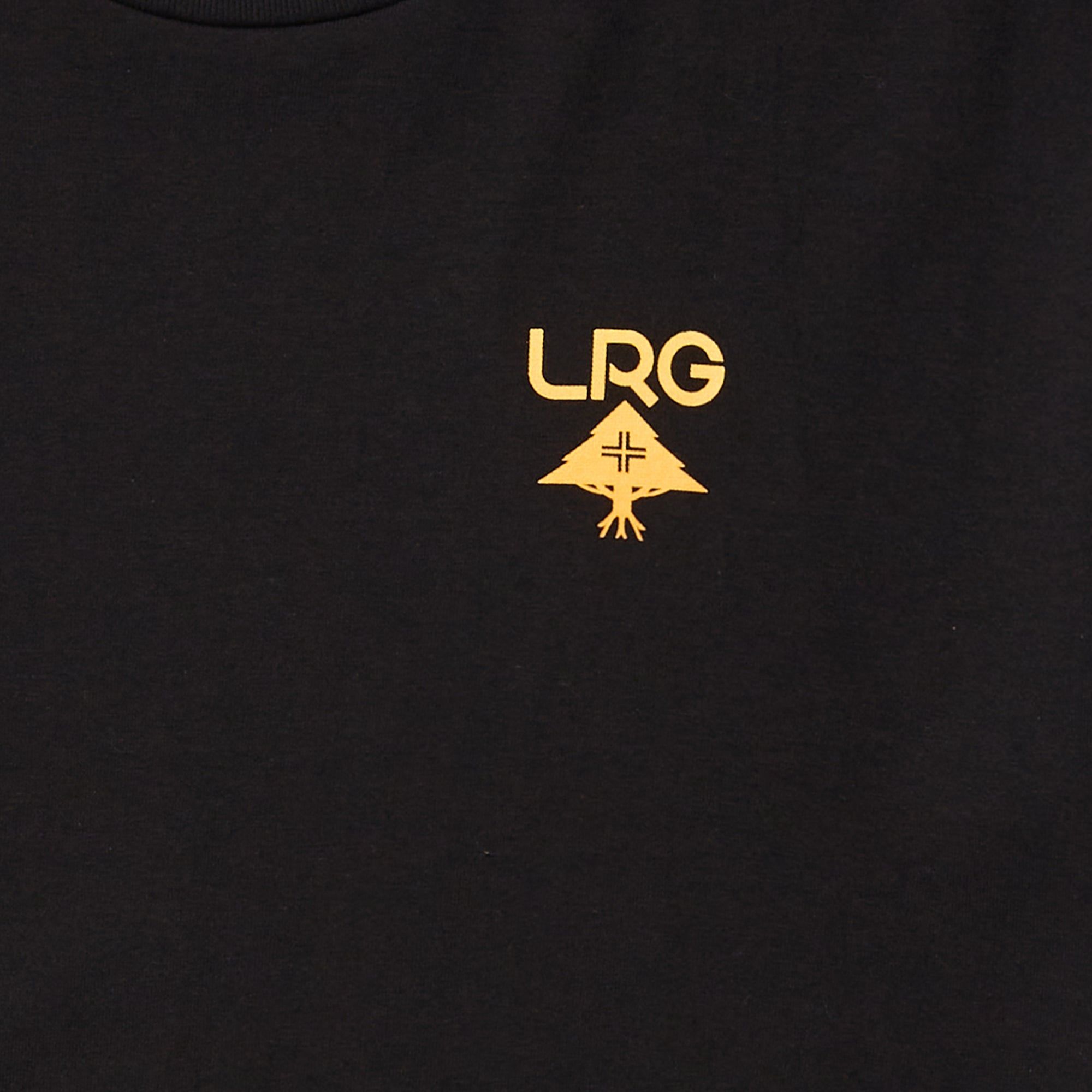 LOGO PLUS TEE - BLACK sold by Lrg product image thumbnail 3
