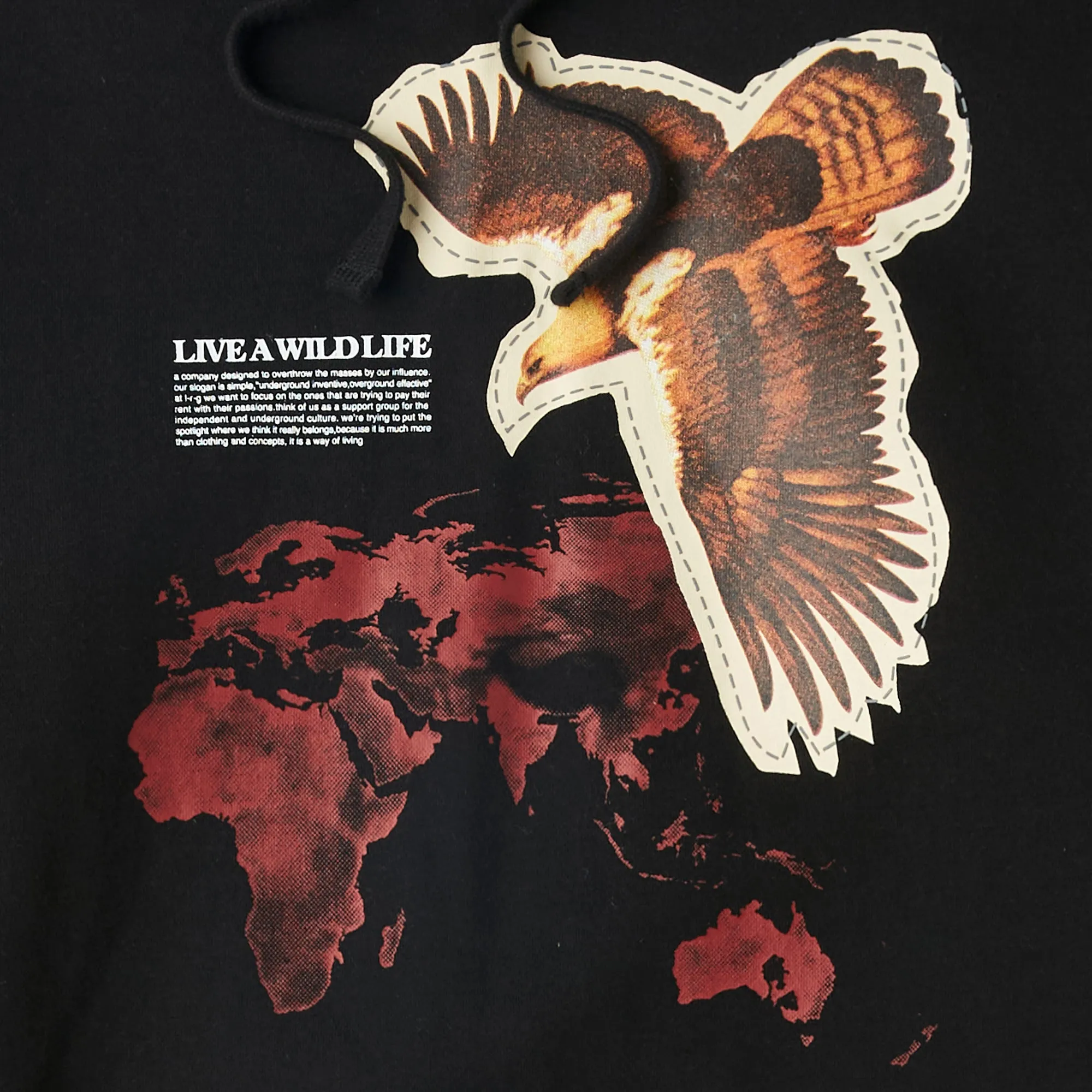 WILD WORLD PULLOVER HOODIE - BLACK sold by Lrg product image thumbnail 5