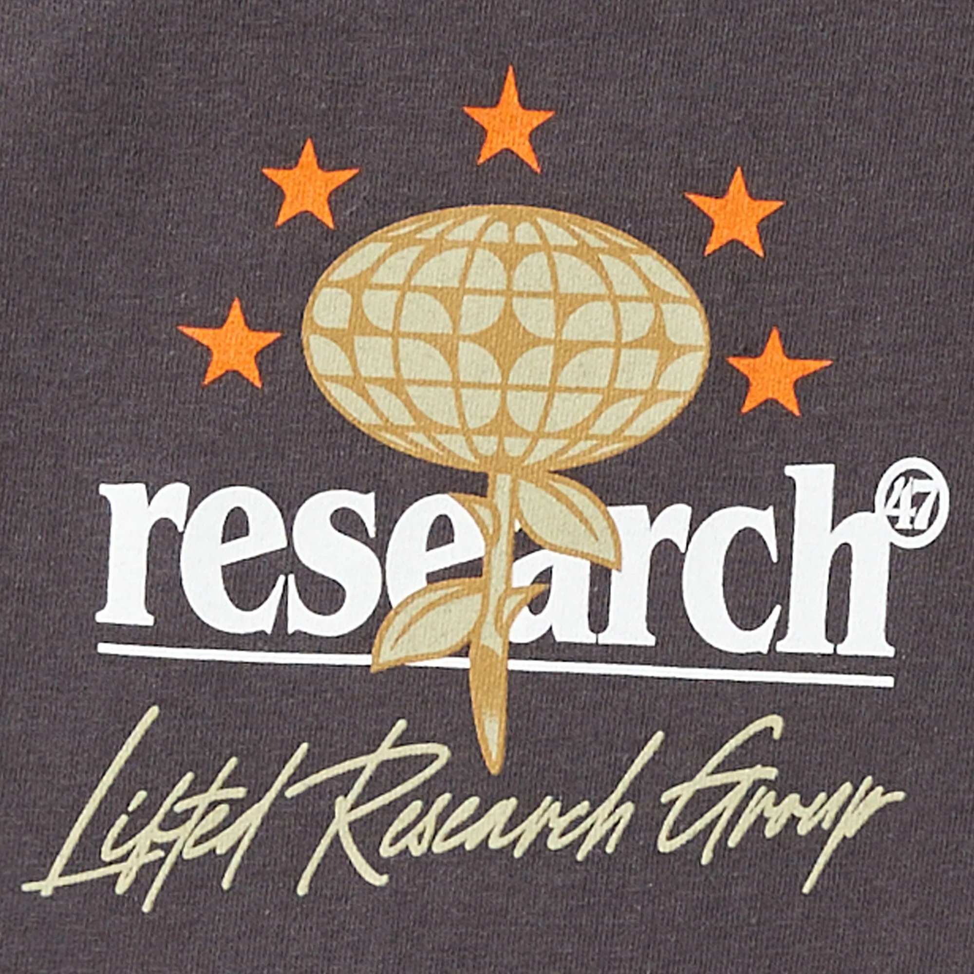 CREATIVE BLOOM TEE - CHARCOAL sold by Lrg product image thumbnail 3