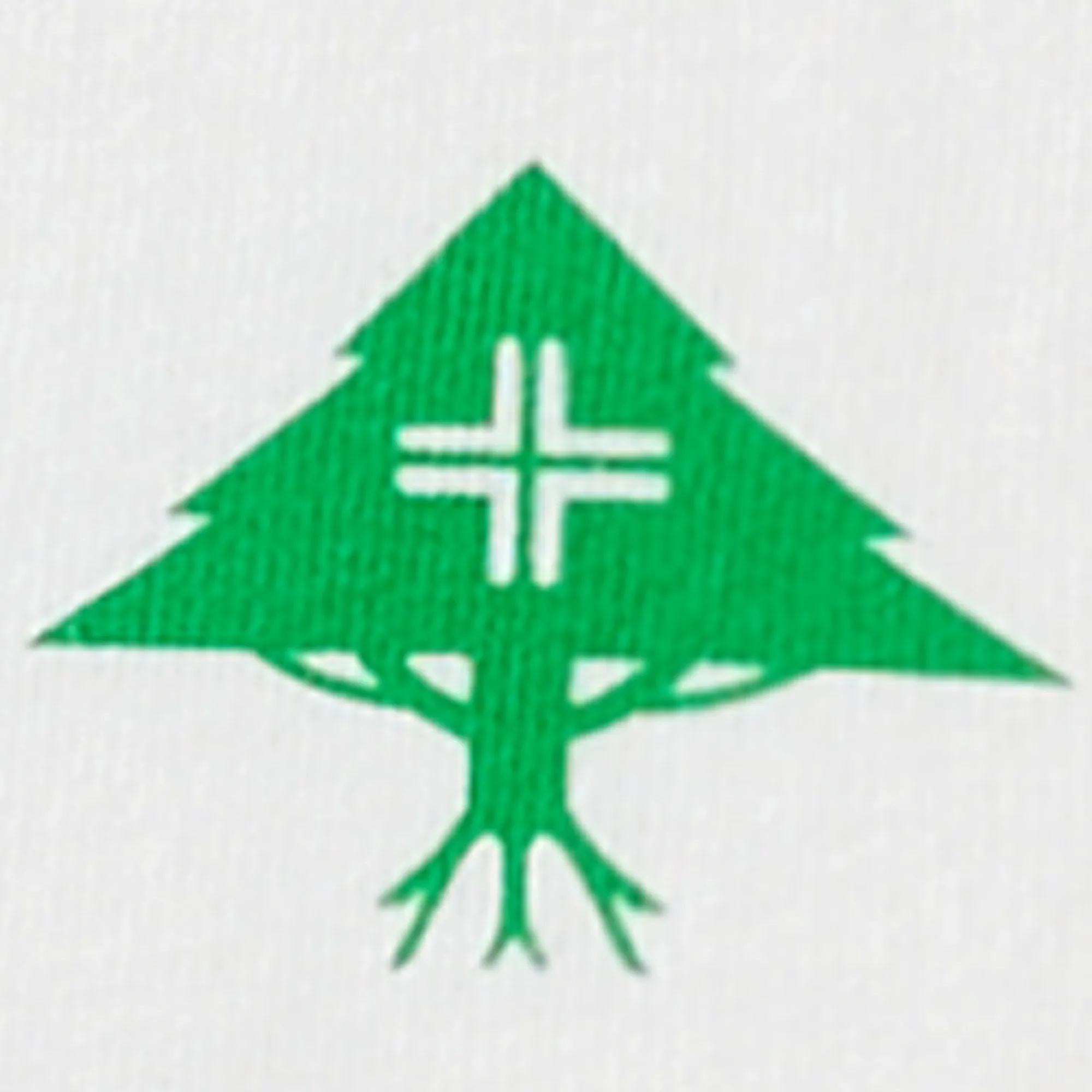 4700 RISING TREE TEE - WHITE sold by Lrg product image thumbnail 3