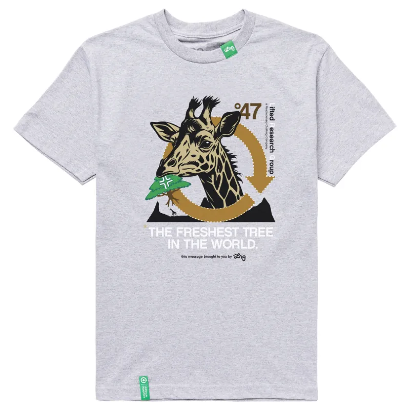 FRESHEST TREE TEE - ASH HEATHER sold by Lrg