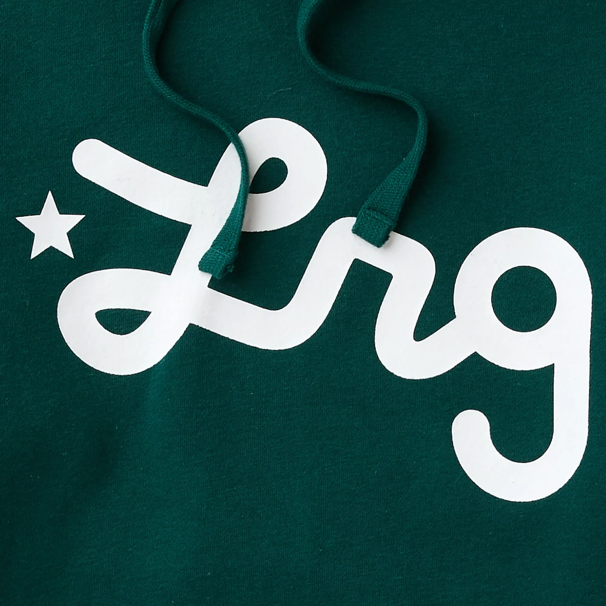 LIFTED SCRIPT PULLOVER HOODIE - BOTANICAL GARDEN sold by Lrg product image thumbnail 2