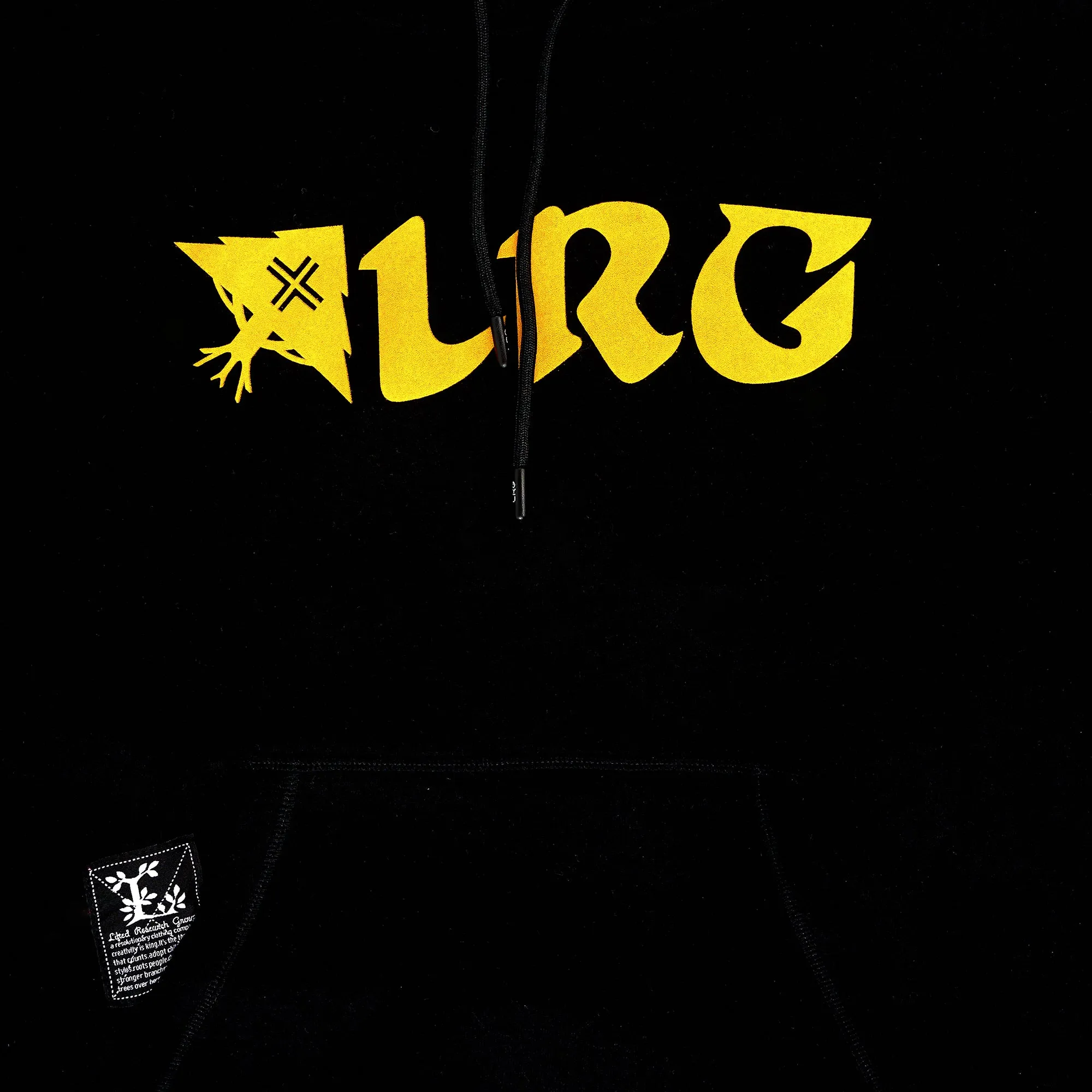 CREATED EQUAL PULLOVER HOODIE - BLACK sold by Lrg product image thumbnail 4