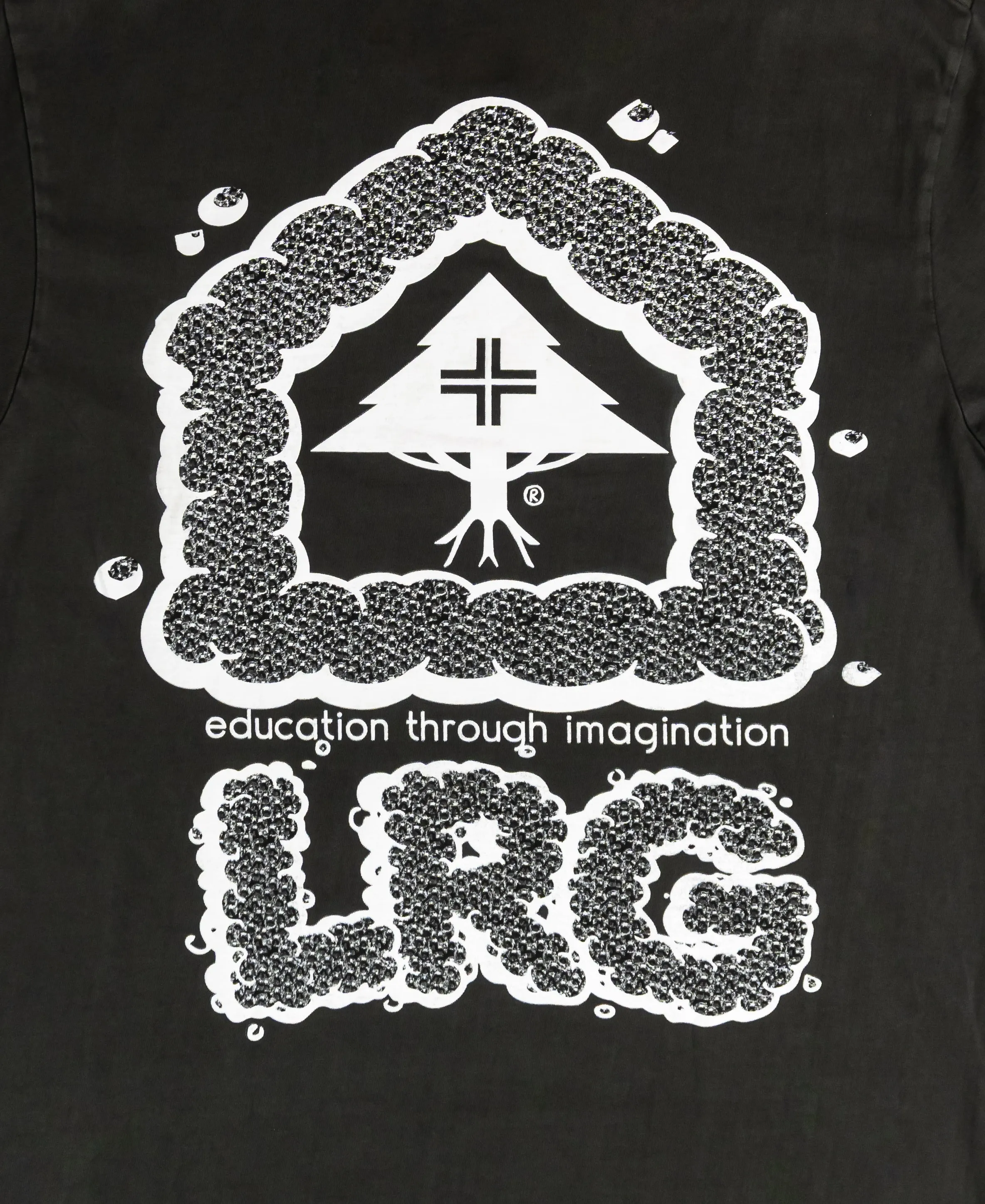 FLY HIGH TEE - PIGMENT BLACK sold by Lrg product image thumbnail 4