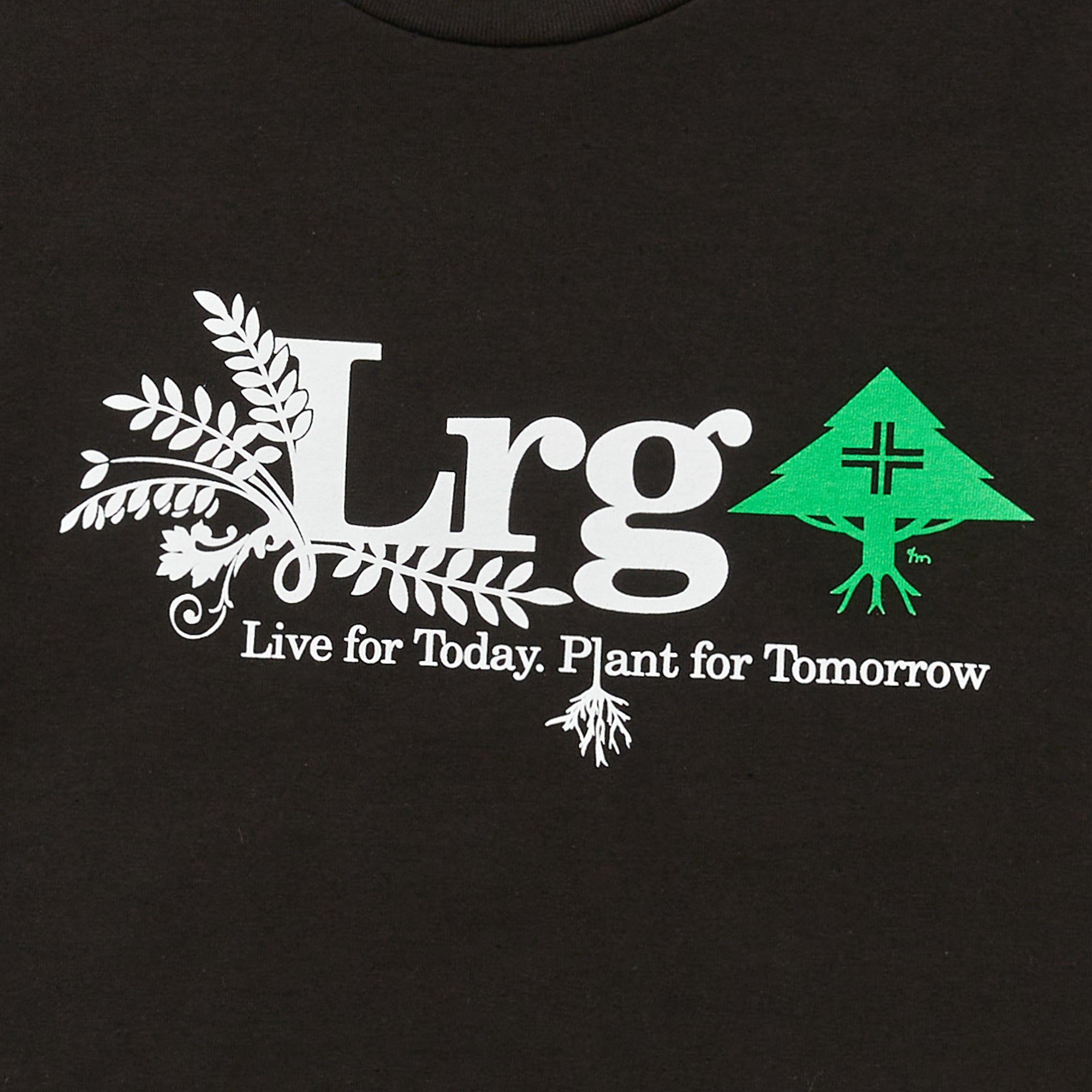 LIVE FOR TODAY TEE - BLACK sold by Lrg product image thumbnail 2