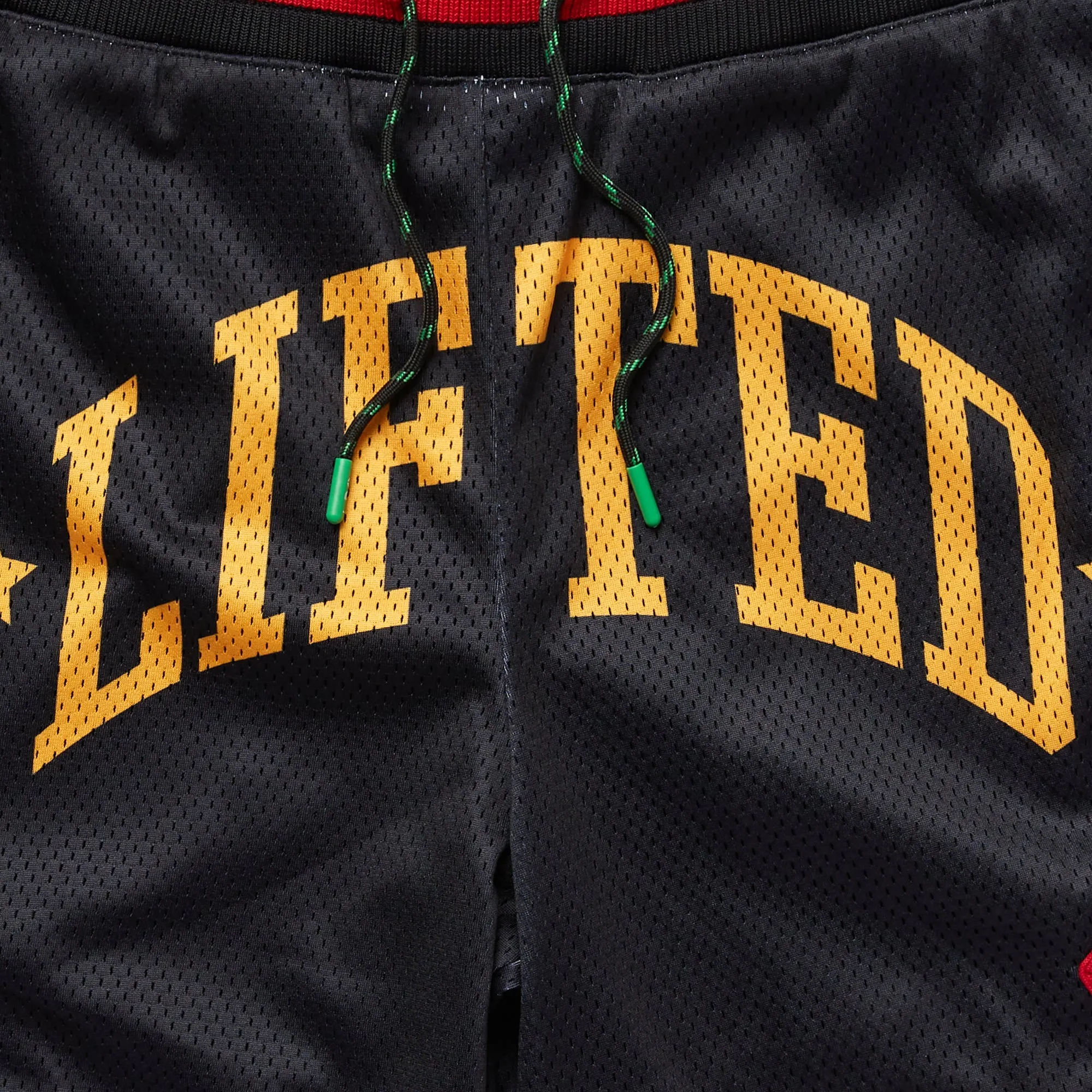 RESOLUTIONARY LIFTED MESH SHORTS - BLACK sold by Lrg product image thumbnail 4