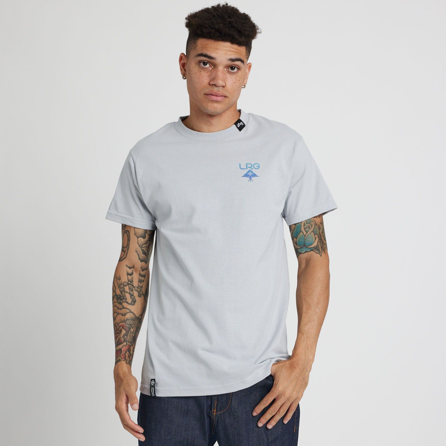 LOGO PLUS TEE - SILVER sold by Lrg product image thumbnail 2