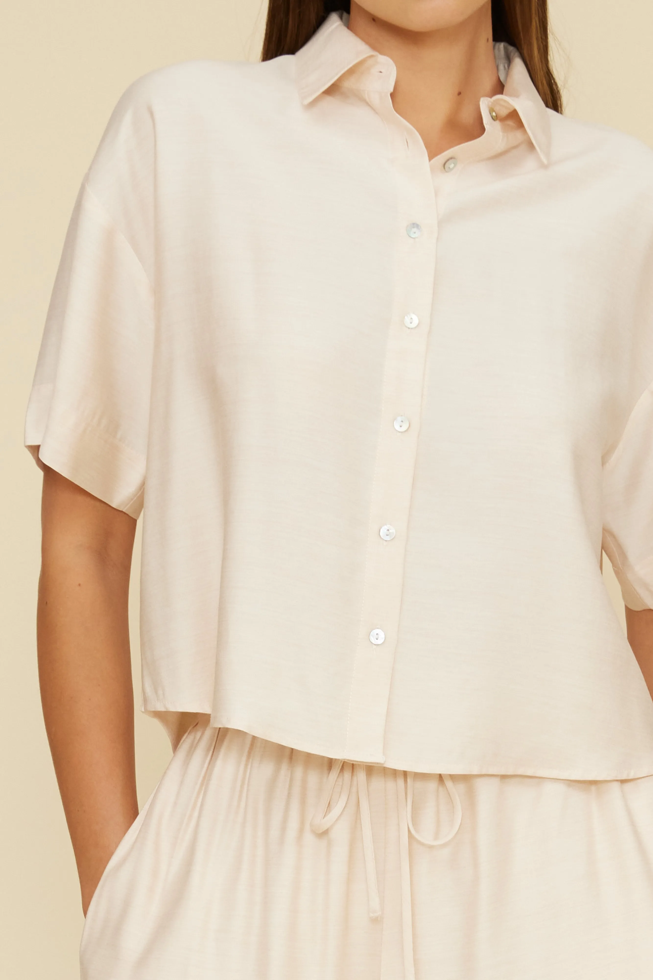 Angie Top - Champagne sold by Lucy Paris product image thumbnail 2