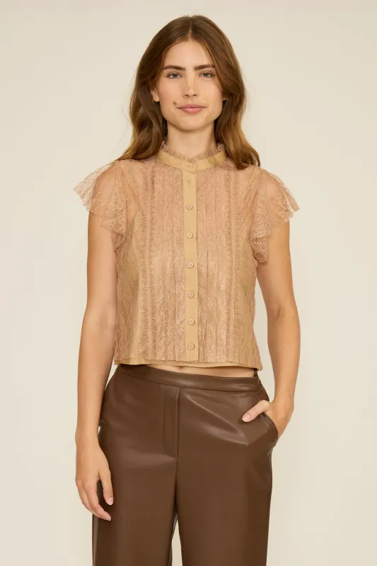 Dutchess Lace Top - Taupe sold by Lucy Paris