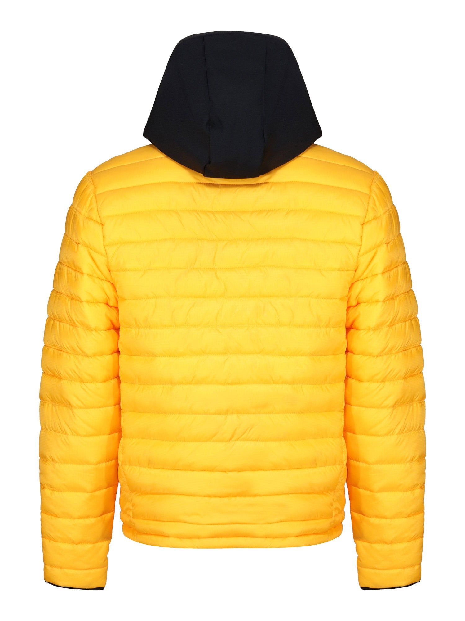 BUBBLA 2 PADDED JACKET sold by Luke 1977 product image thumbnail 5