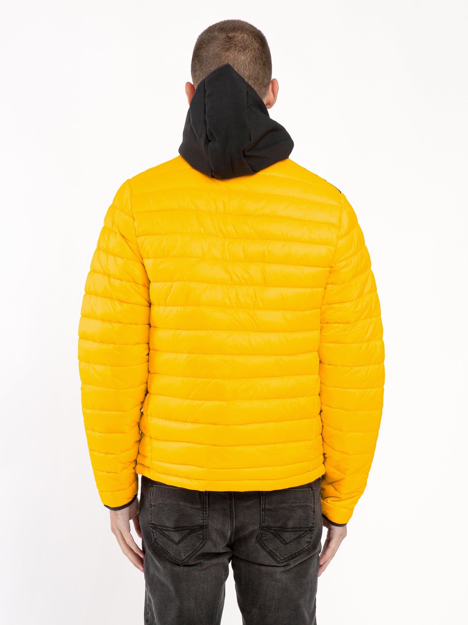 BUBBLA 2 PADDED JACKET sold by Luke 1977 product image thumbnail 4
