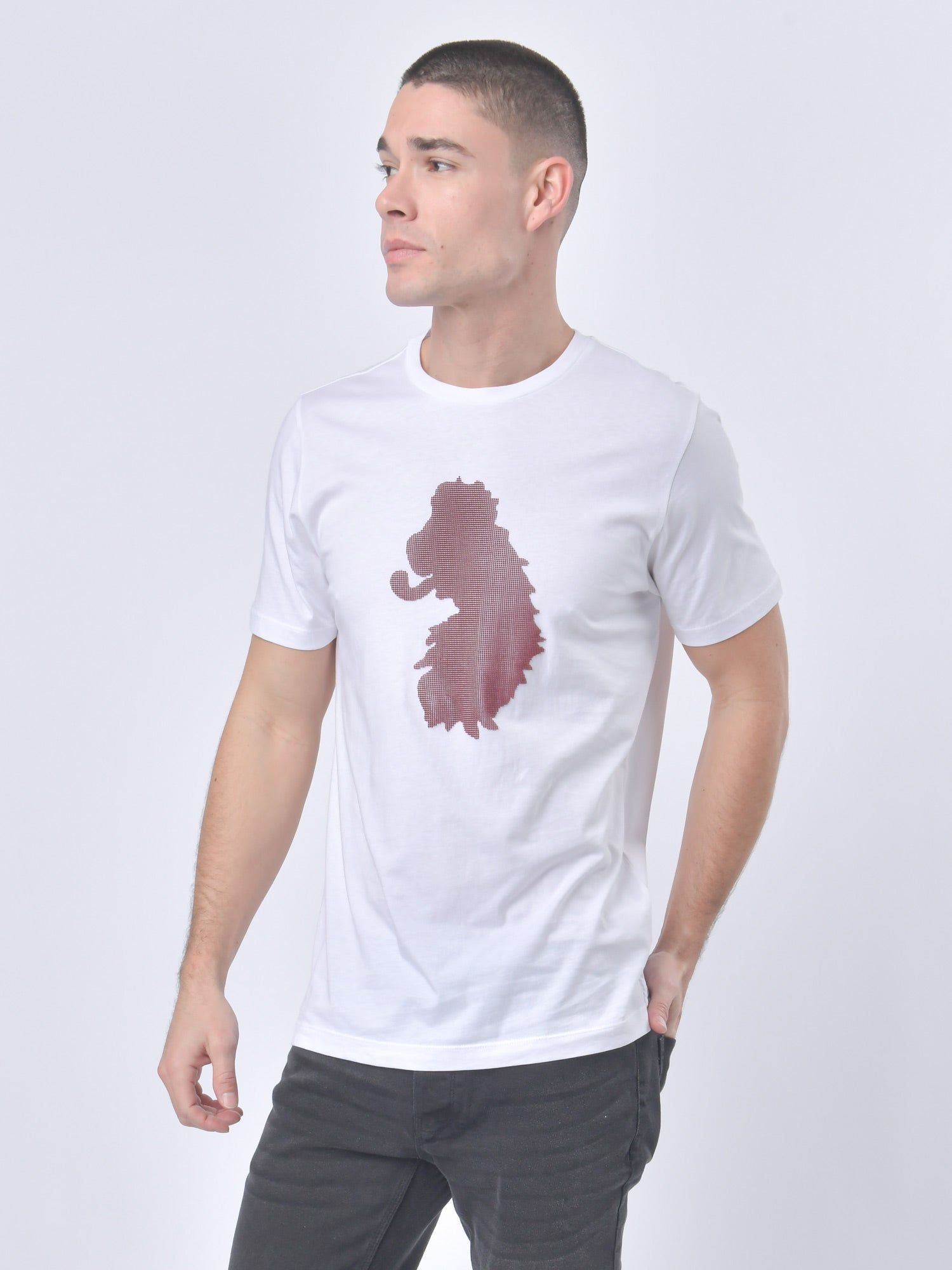 STUBBLE T-SHIRT sold by Luke 1977 product image thumbnail 3