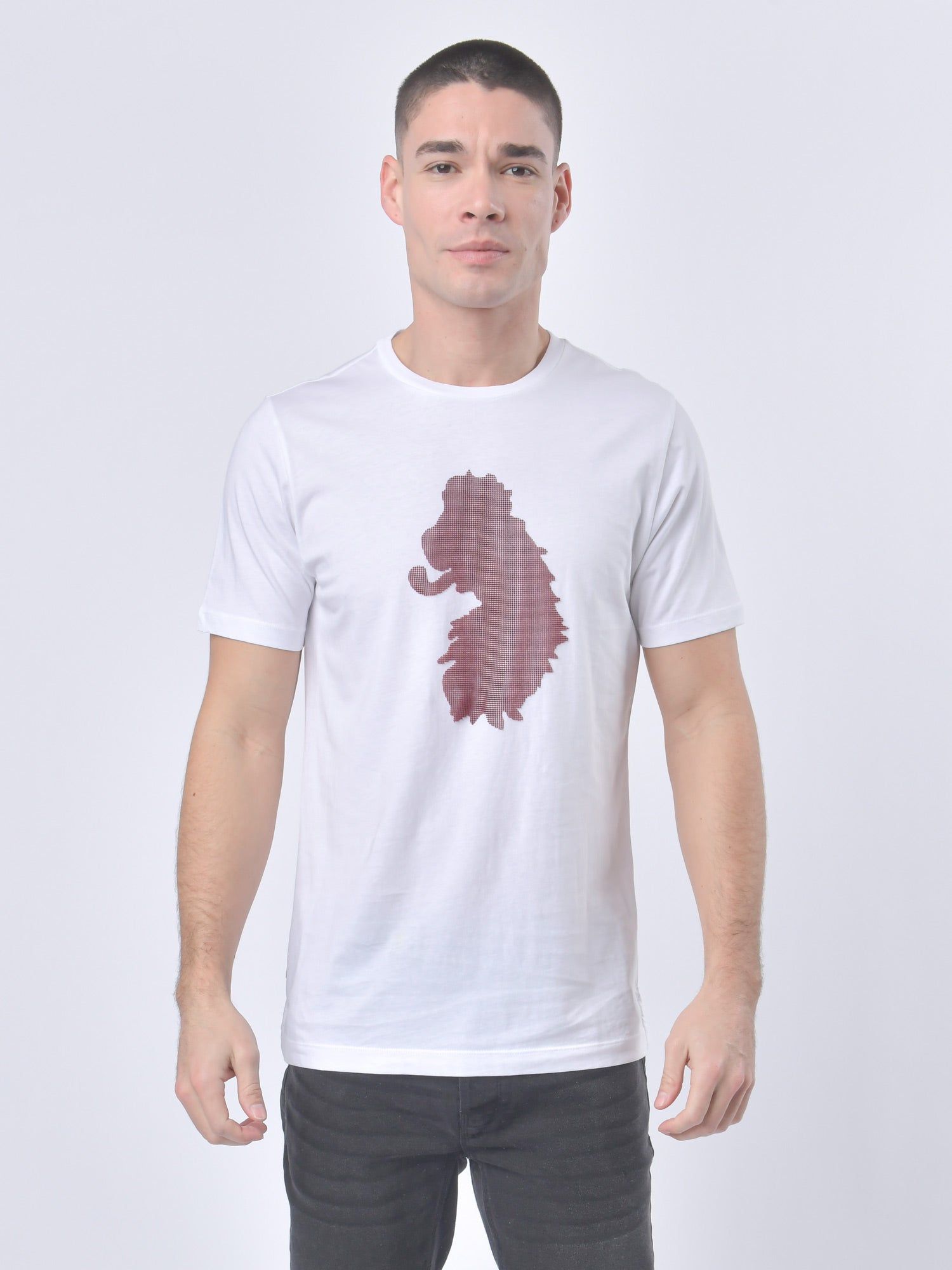 STUBBLE T-SHIRT sold by Luke 1977 product image thumbnail 2