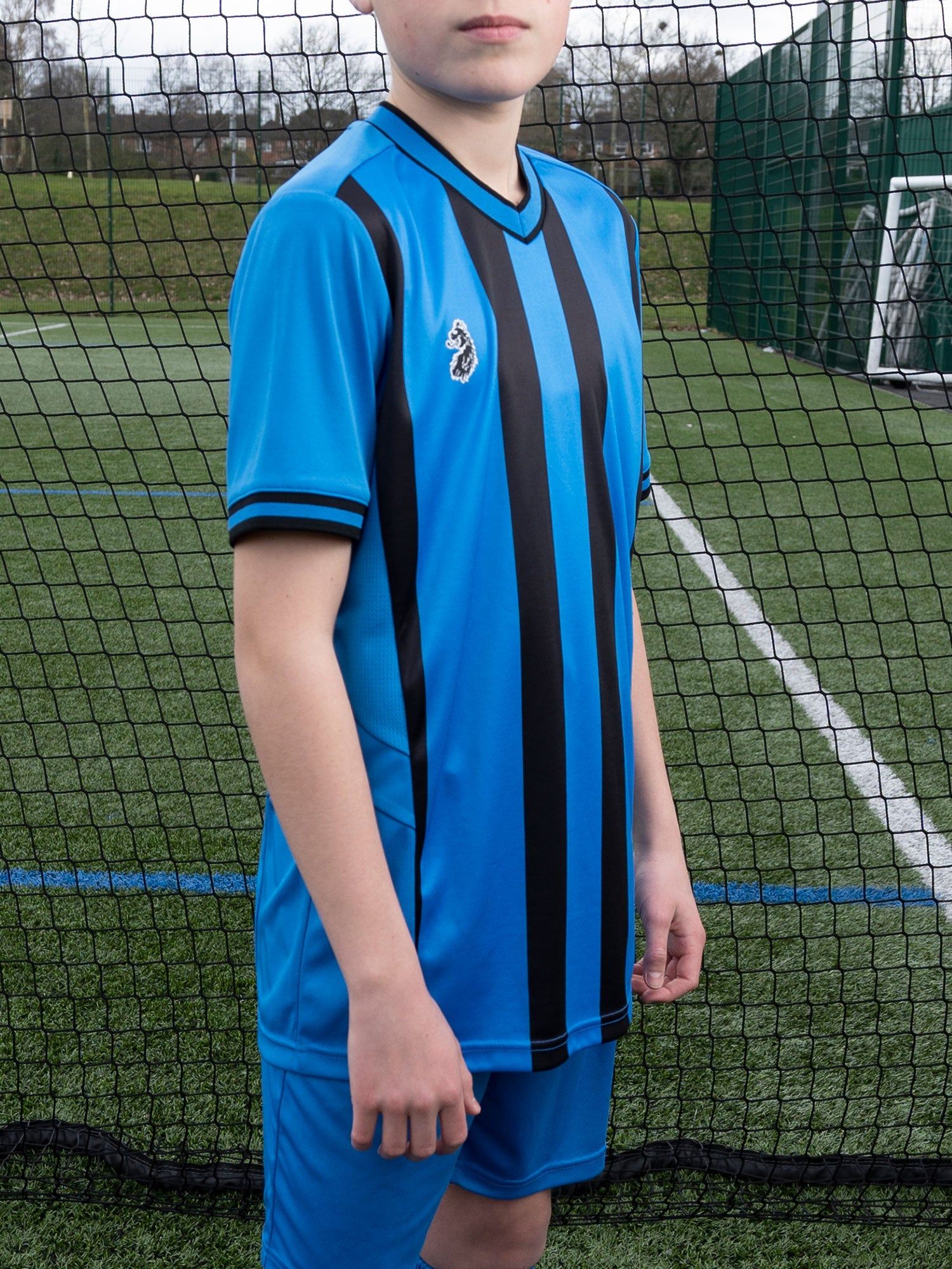 TEAM STRIPED JUNIOR V-NECK T-SHIRT sold by Luke 1977 product image thumbnail 2