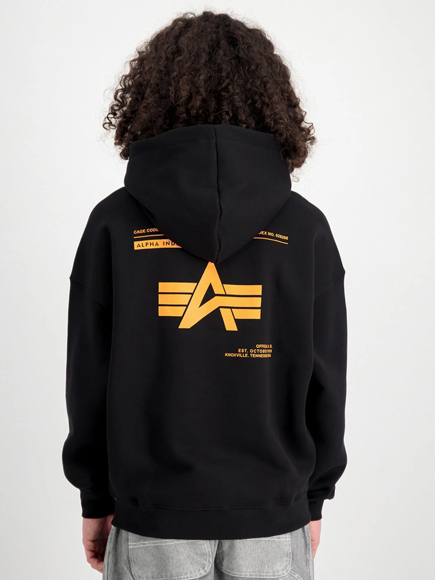 Alpha Industries Logo BP Hoody sold by Luke 1977 product image thumbnail 2
