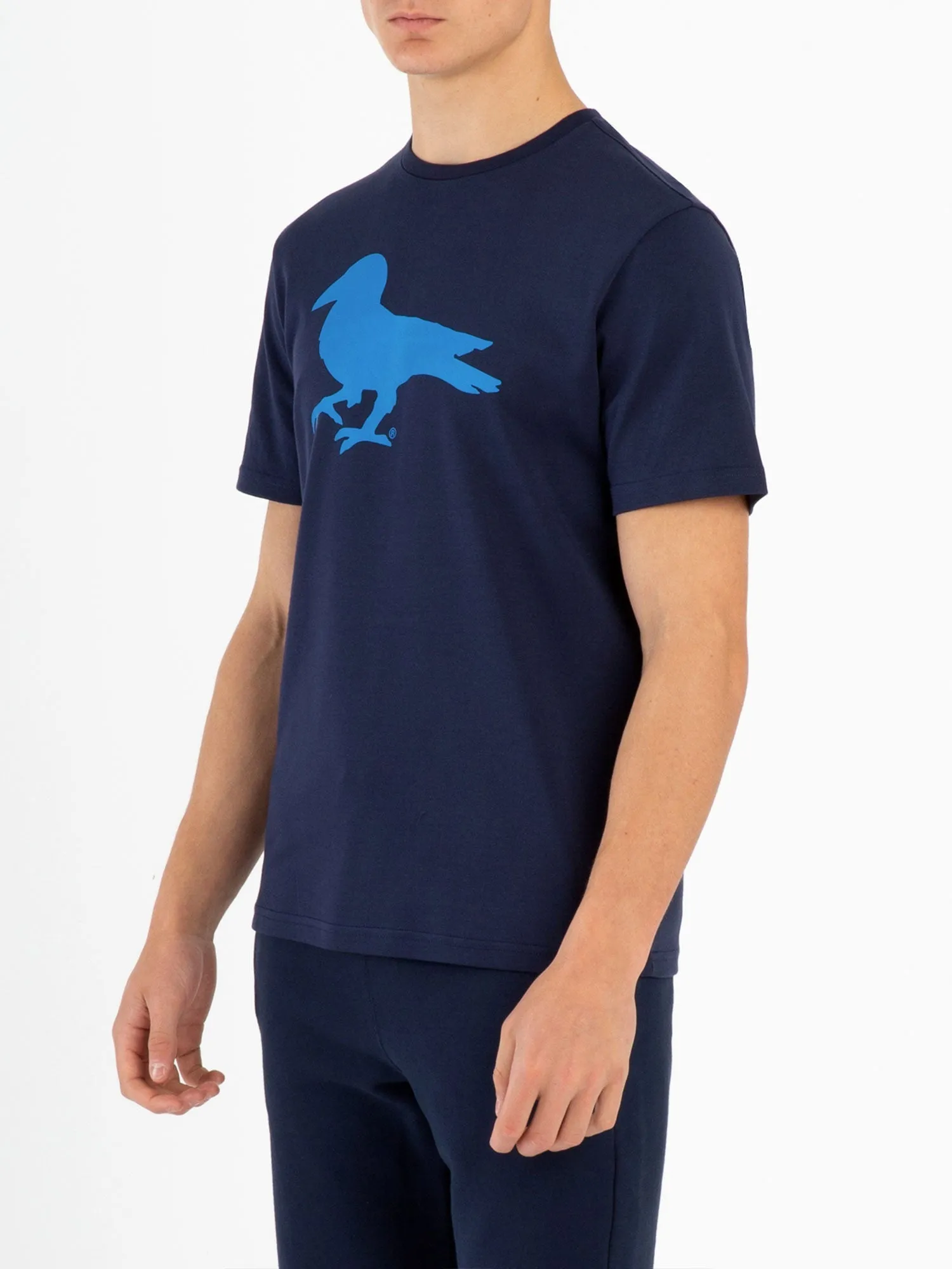 Modern Amusement CALI CROW T-SHIRT sold by Luke 1977 product image thumbnail 3