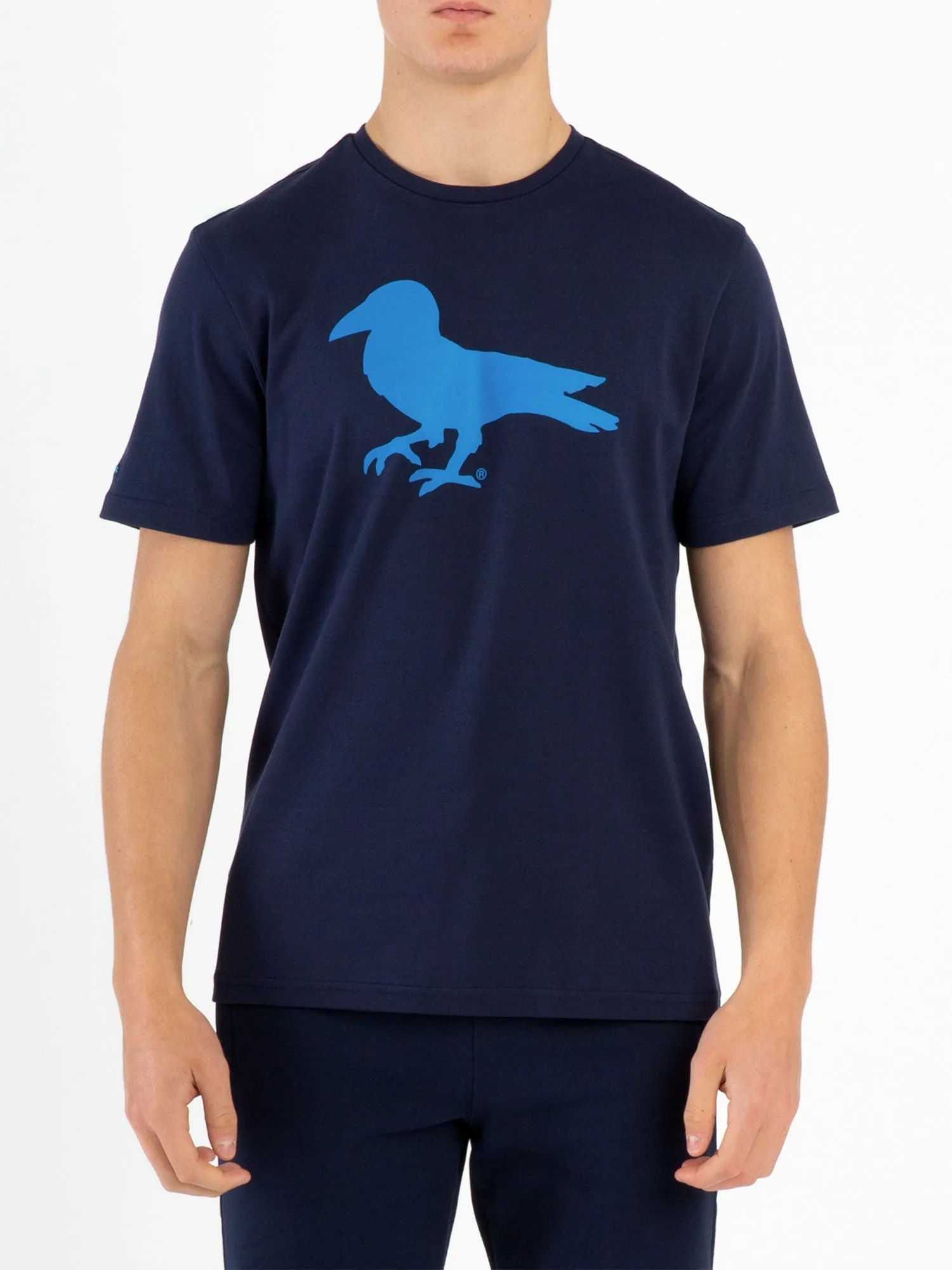 Modern Amusement CALI CROW T-SHIRT sold by Luke 1977 product image thumbnail 2