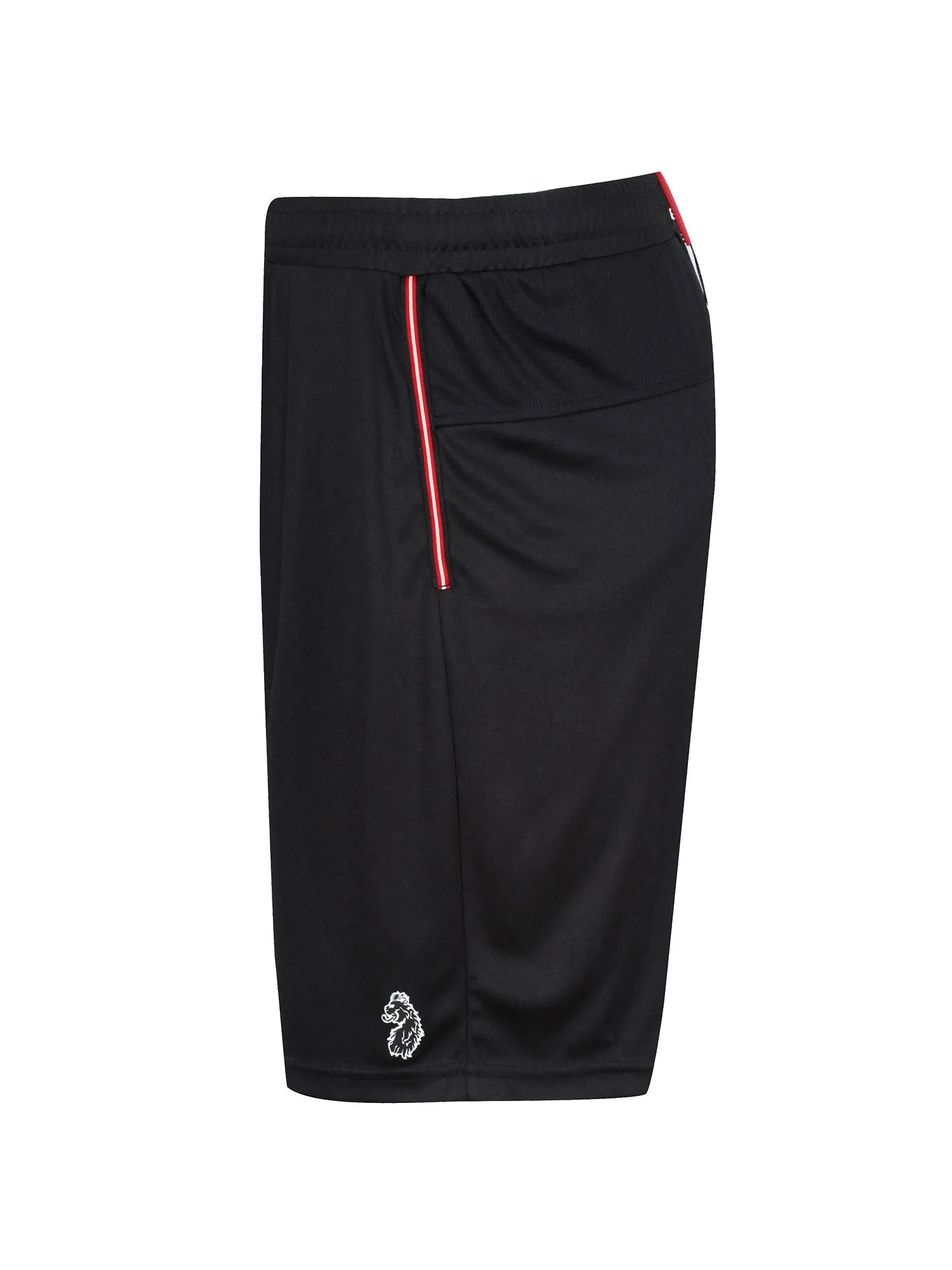 TEAM SHORTS sold by Luke 1977 product image thumbnail 5