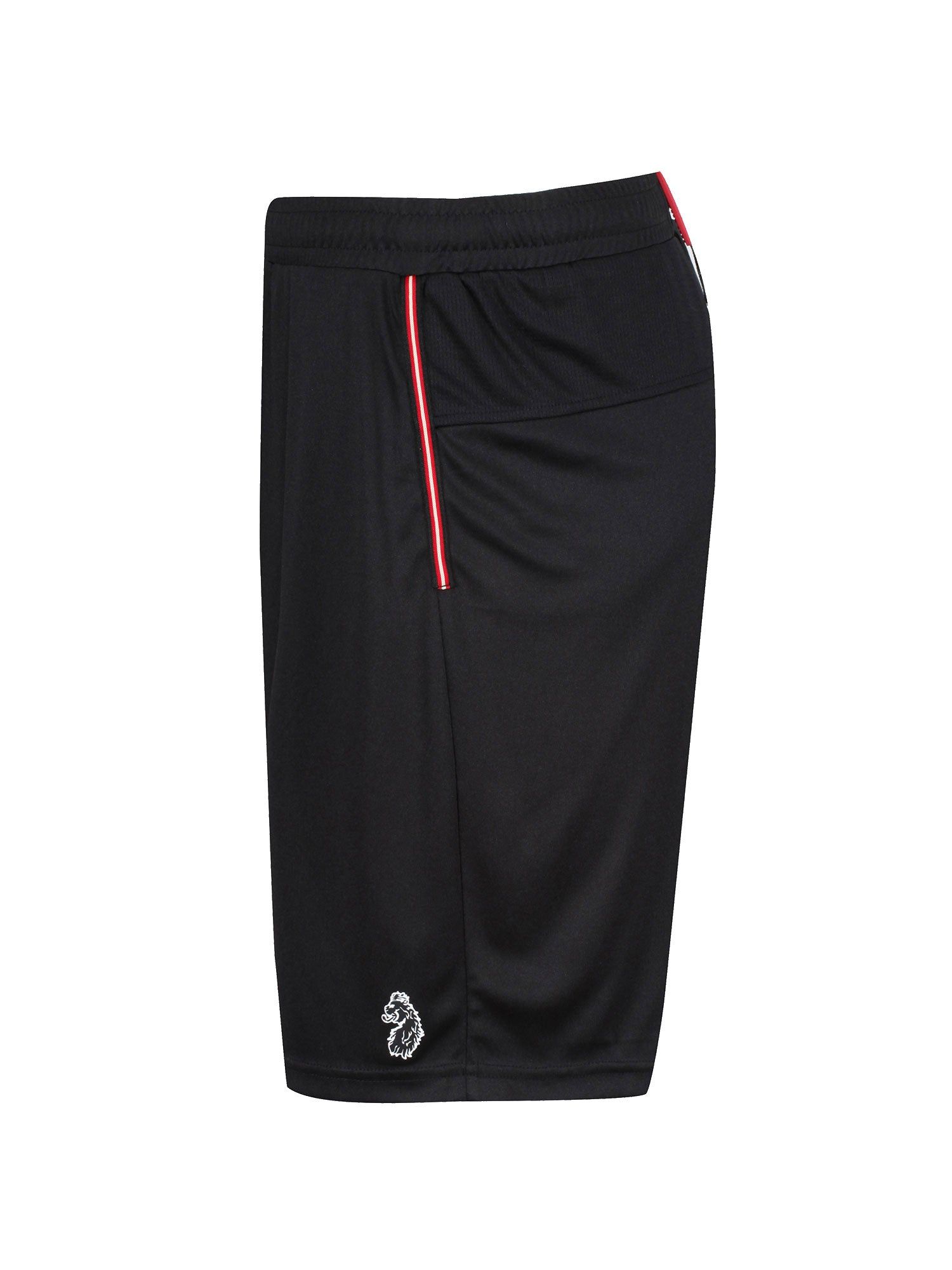 TEAM SHORTS sold by Luke 1977 product image thumbnail 5