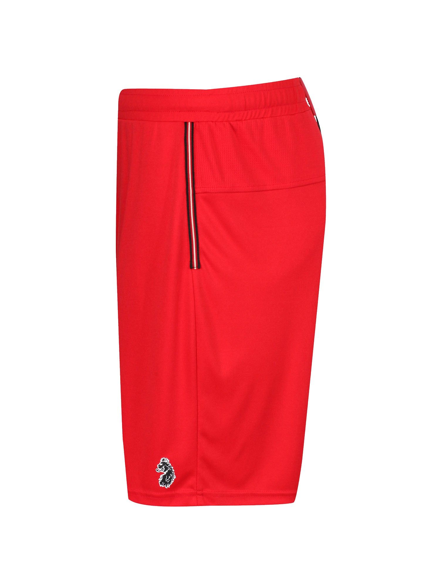 TEAM SHORTS sold by Luke 1977 product image thumbnail 20