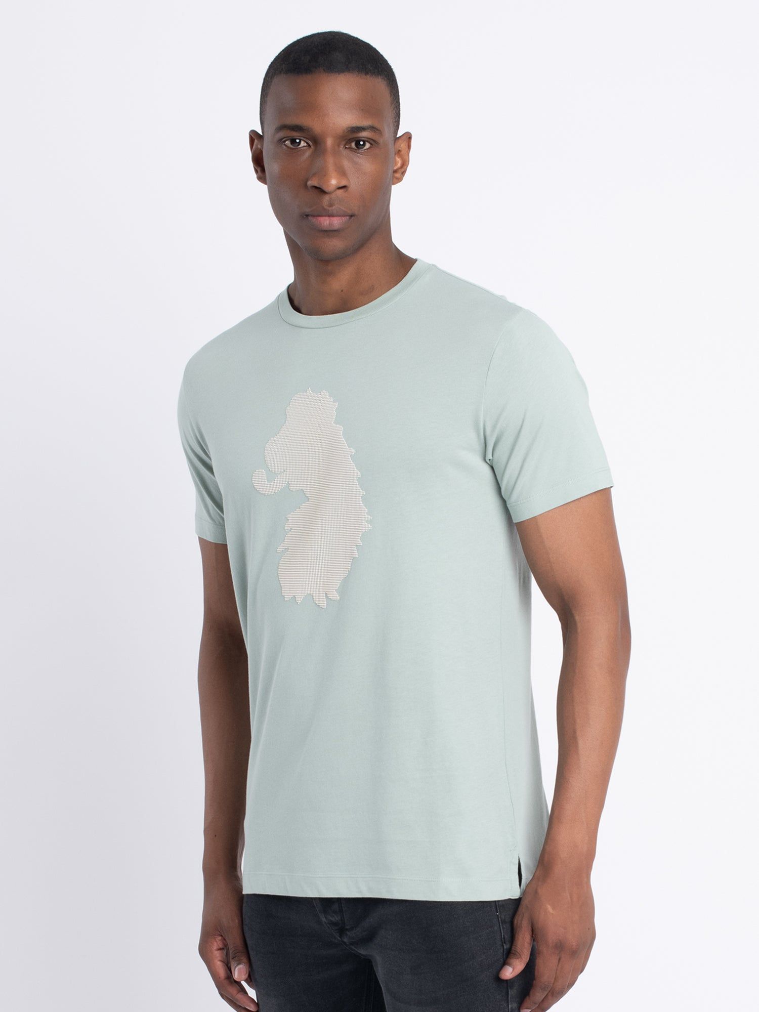 STUBBLE T-SHIRT sold by Luke 1977 product image thumbnail 3