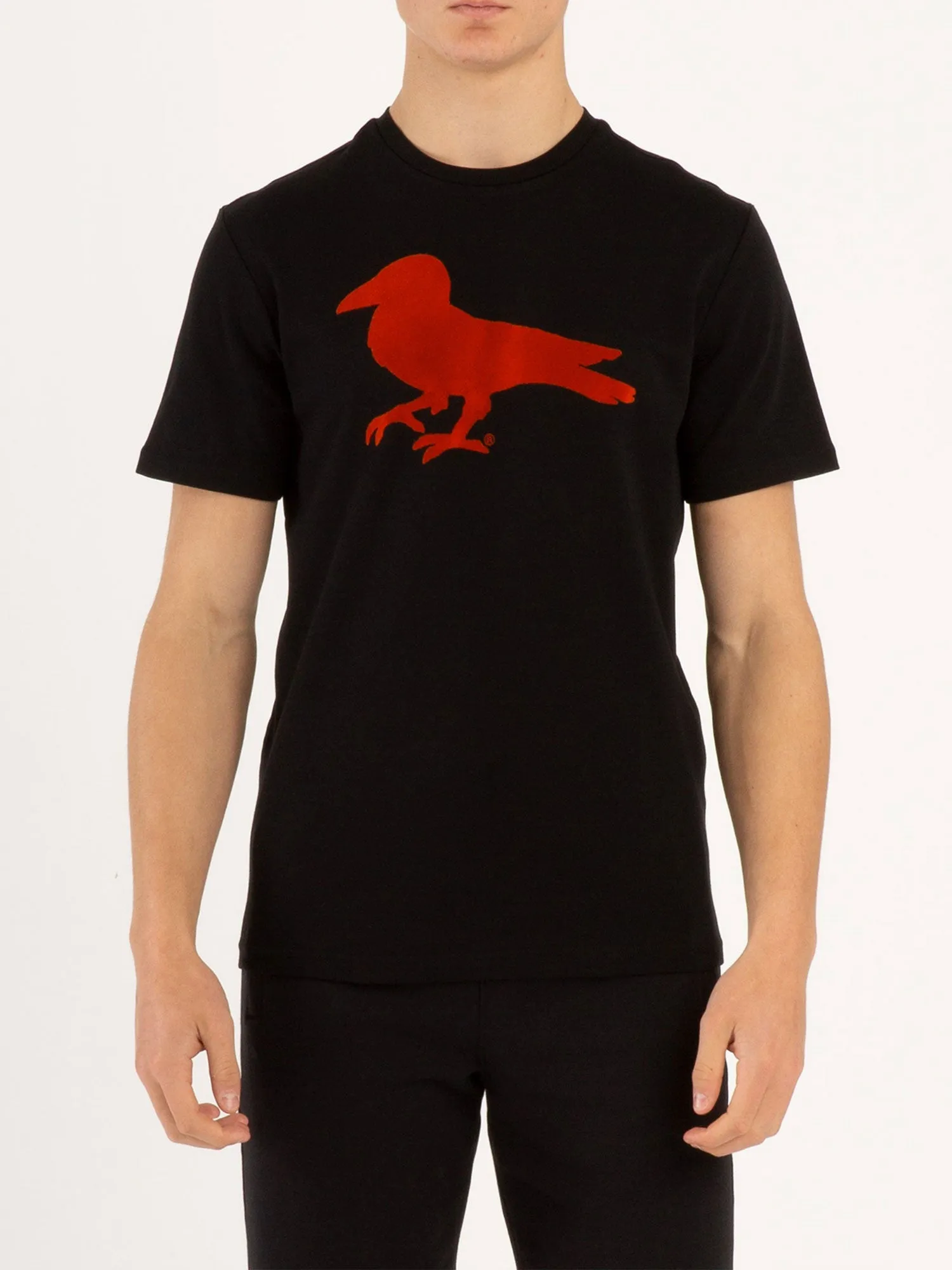 Modern Amusement FLOCKIN CROWS AGAIN T-SHIRT sold by Luke 1977 product image thumbnail 2