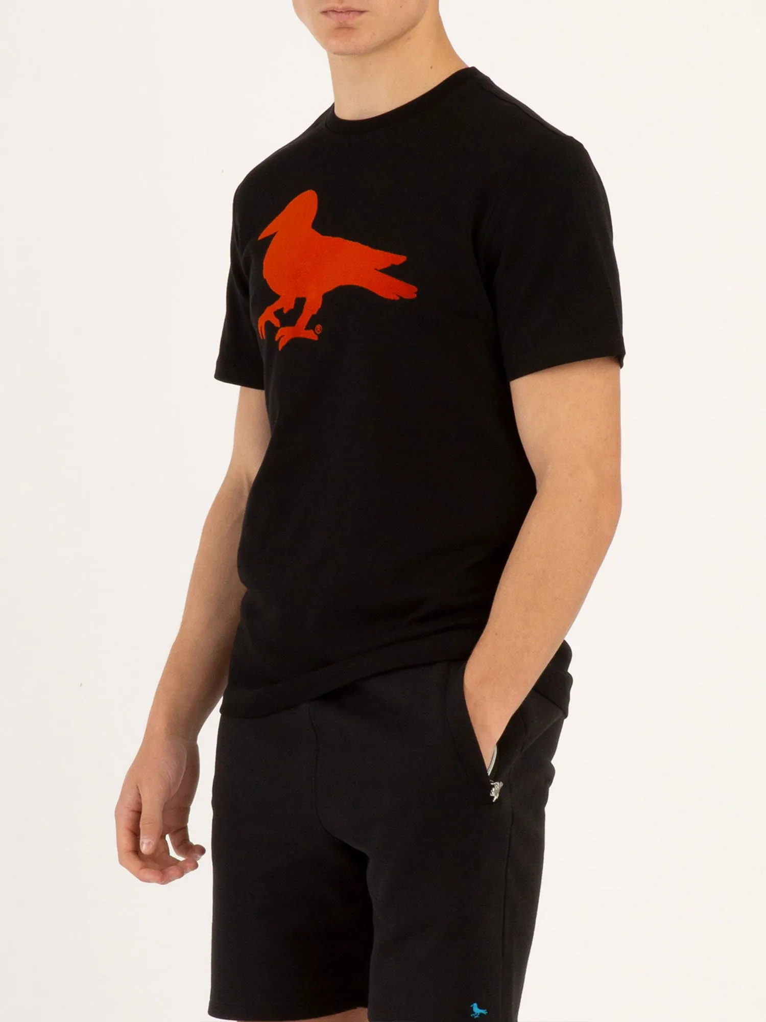 Modern Amusement FLOCKIN CROWS AGAIN T-SHIRT sold by Luke 1977 product image thumbnail 3
