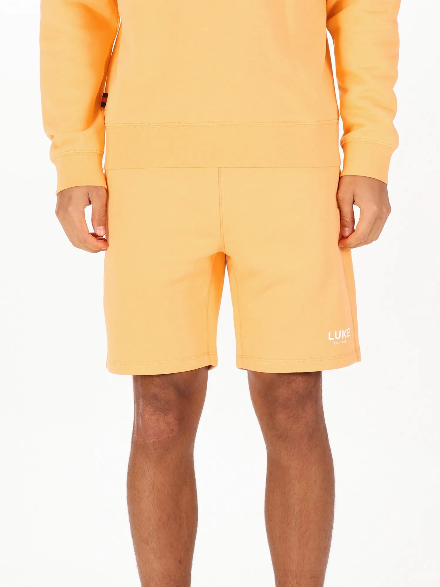STAGGERING SWEAT SHORTS sold by Luke 1977 product image thumbnail 2