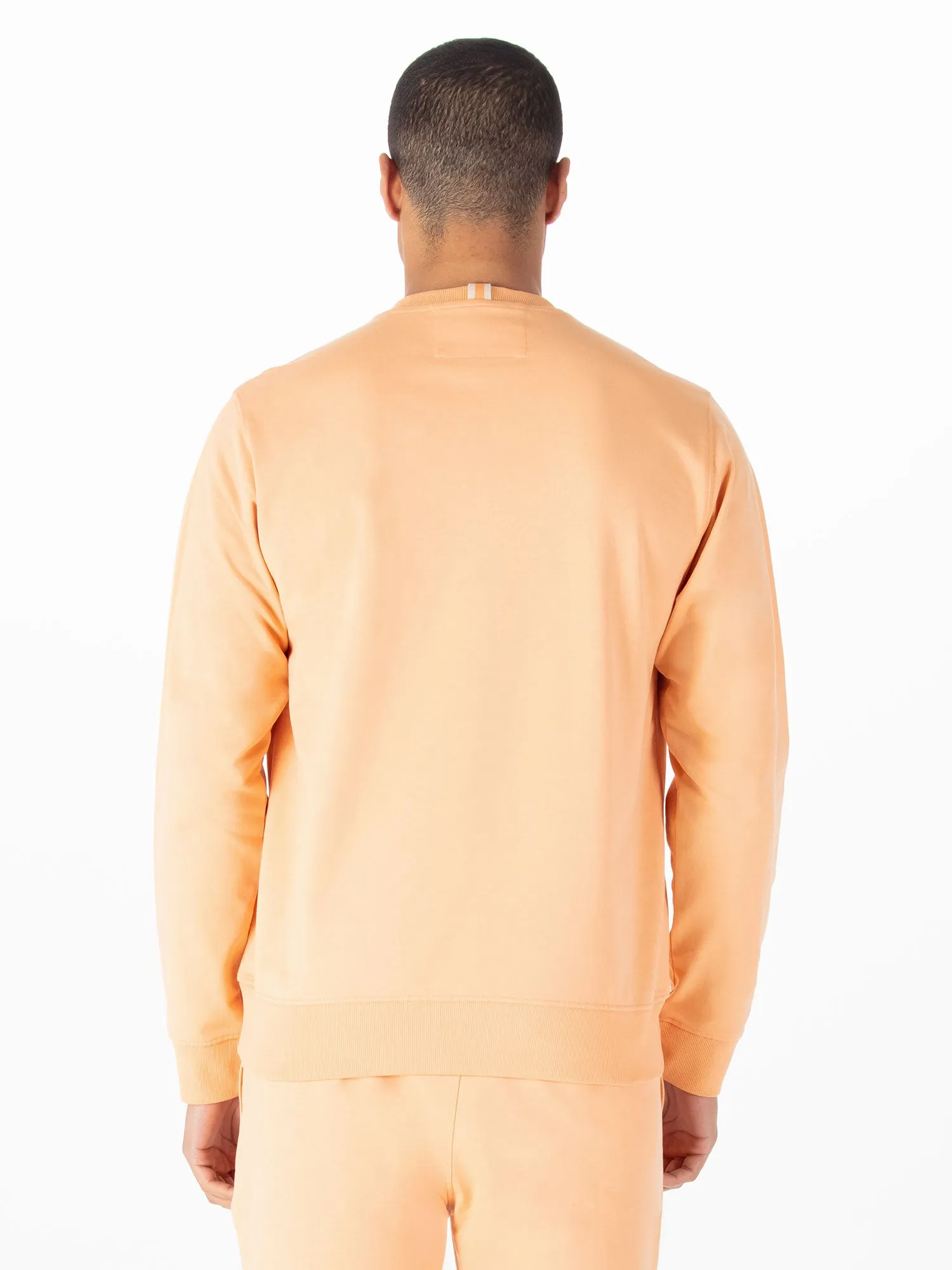 ARBOR SWEATSHIRT sold by Luke 1977 product image thumbnail 4