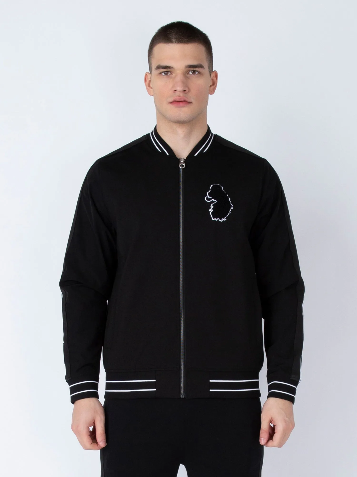 HARVARD VARSITY JACKET sold by Luke 1977 product image thumbnail 3