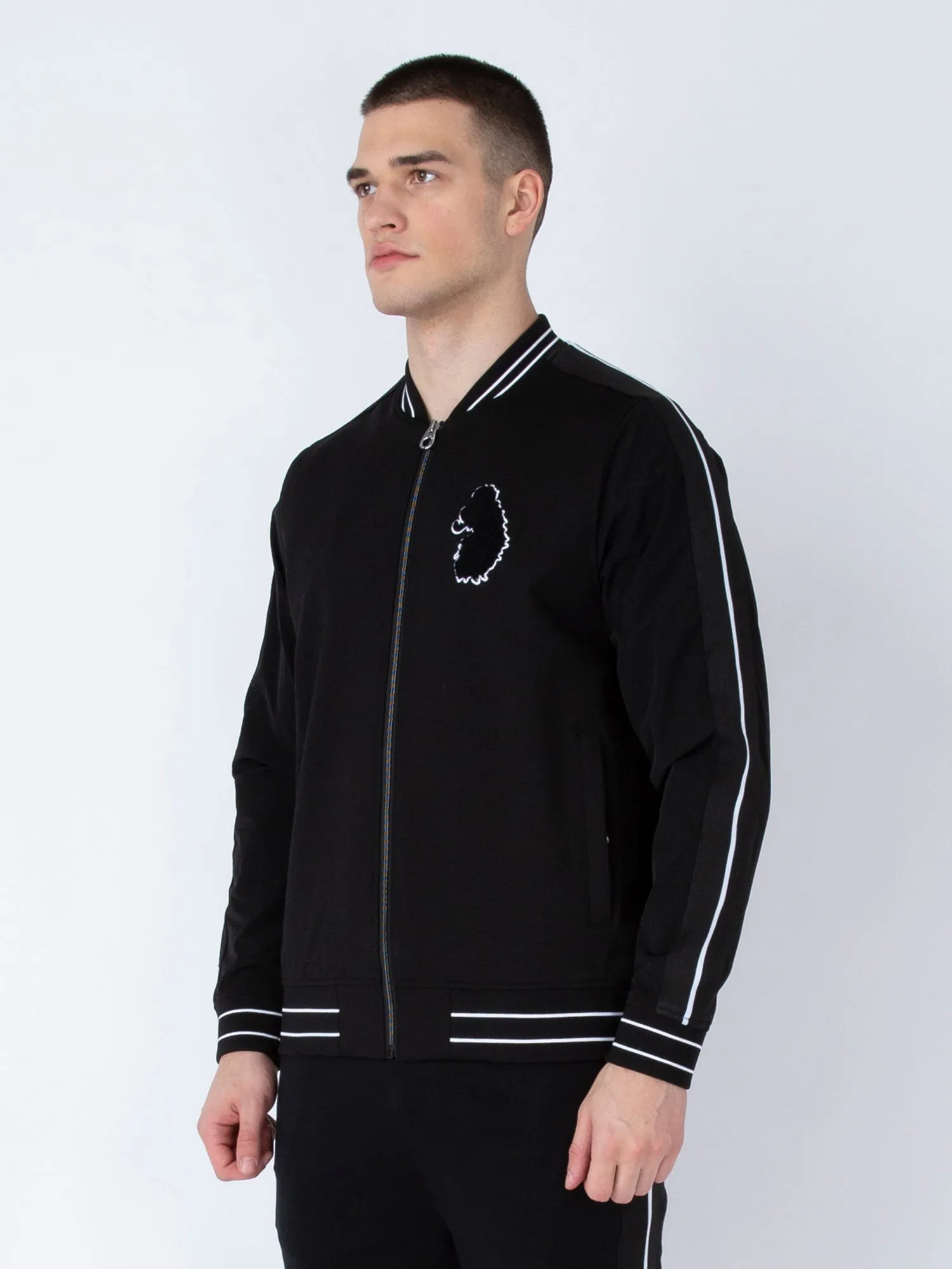 HARVARD VARSITY JACKET sold by Luke 1977 product image thumbnail 5