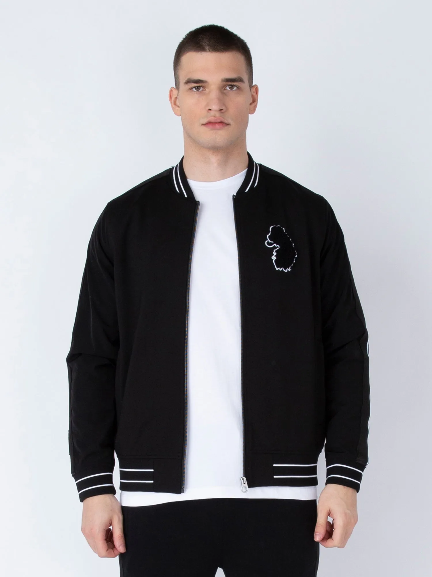 HARVARD VARSITY JACKET sold by Luke 1977 product image thumbnail 4