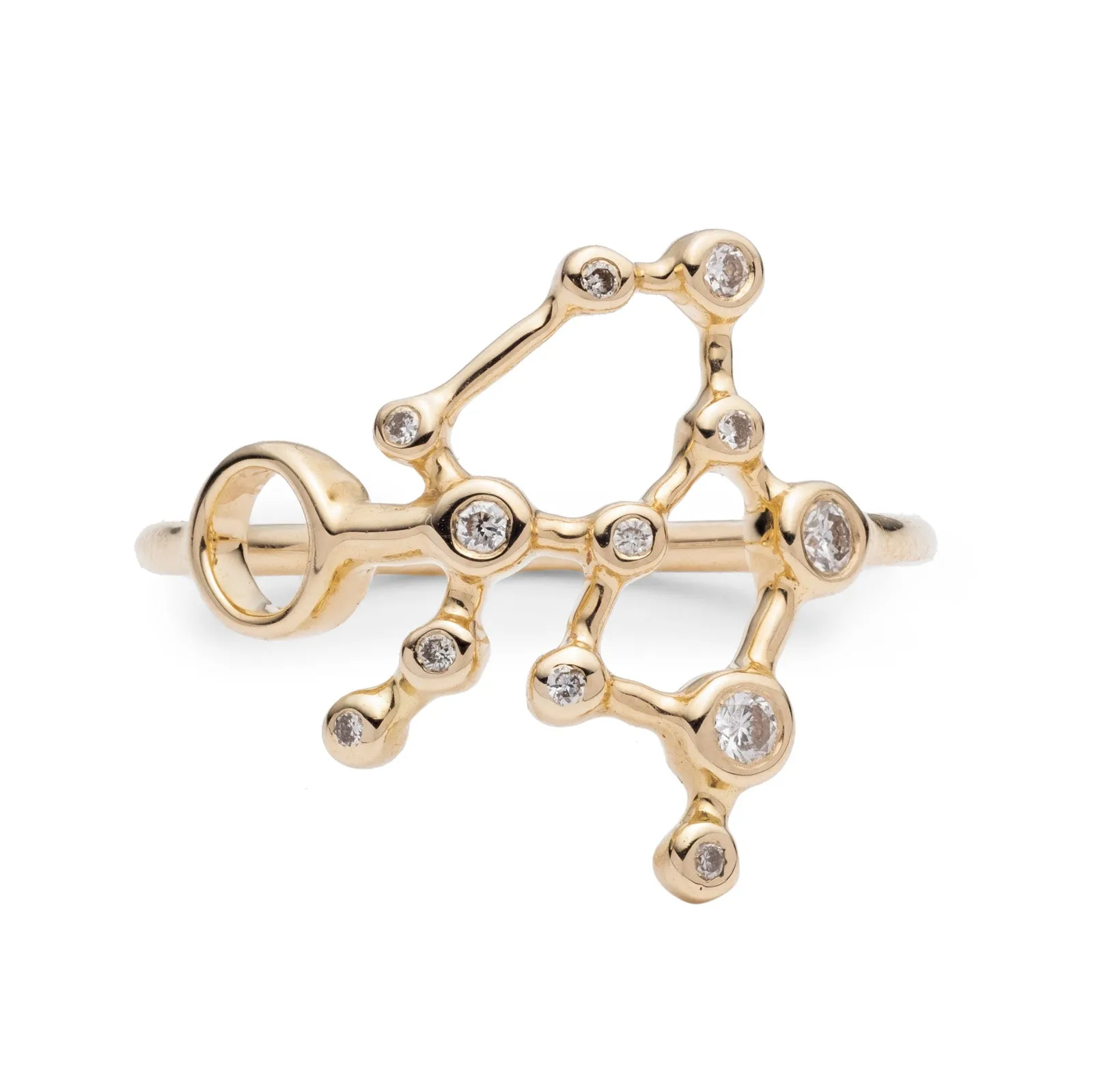 Zodiacs 14k & Diamond Aquarius + Air Ring sold by Lulu Frost product image thumbnail 3