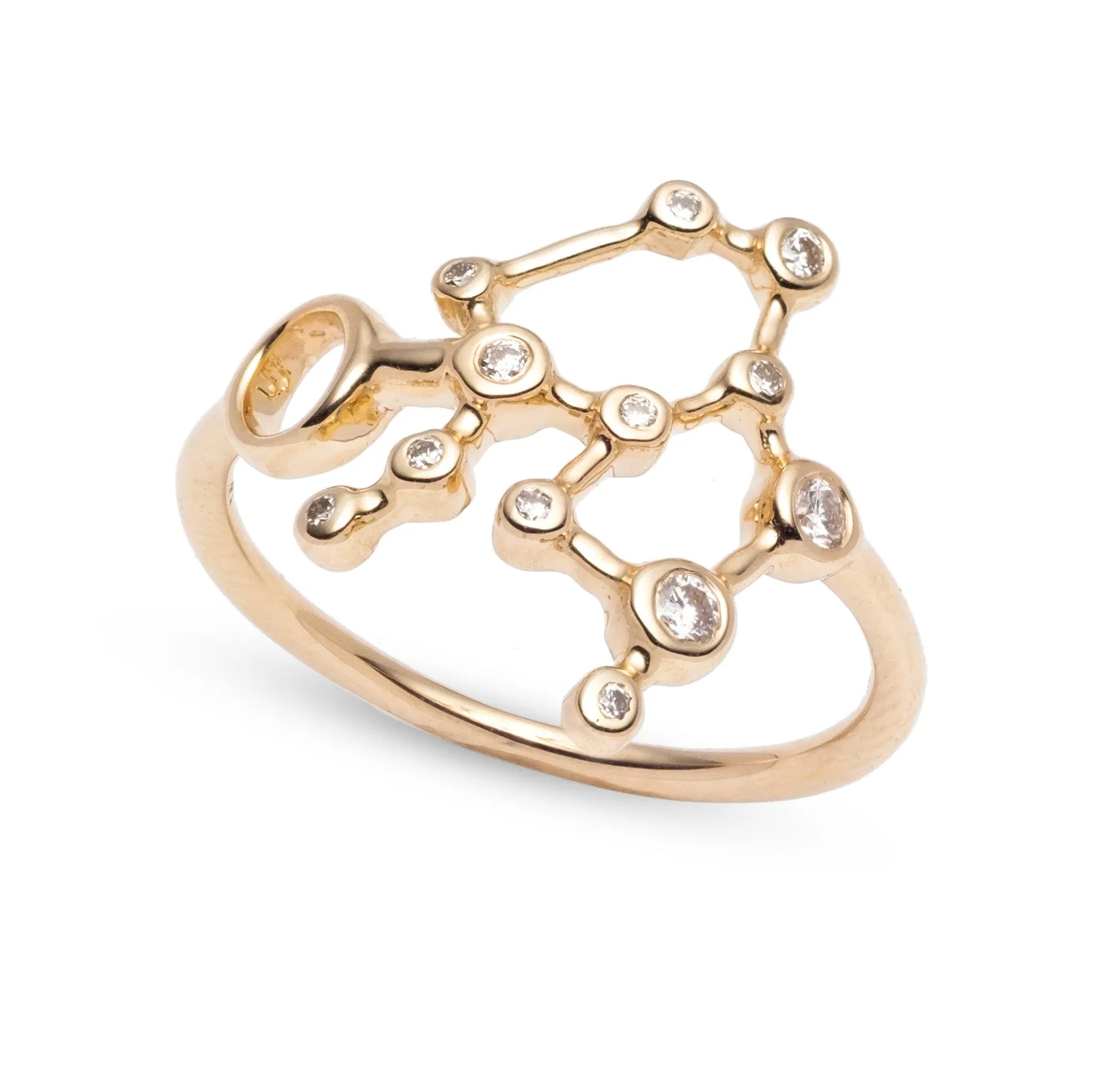 Zodiacs 14k & Diamond Aquarius + Air Ring sold by Lulu Frost