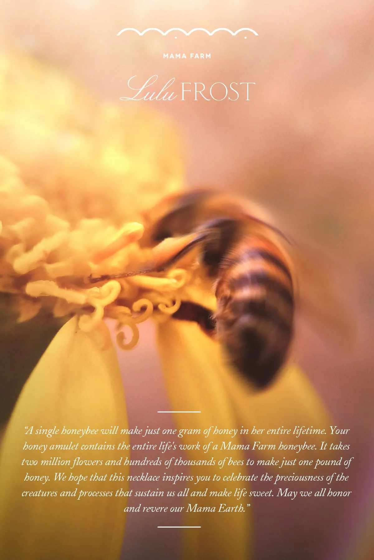 Mama Farm + Lulu Frost Honey Charm Necklace sold by Lulu Frost product image thumbnail 5
