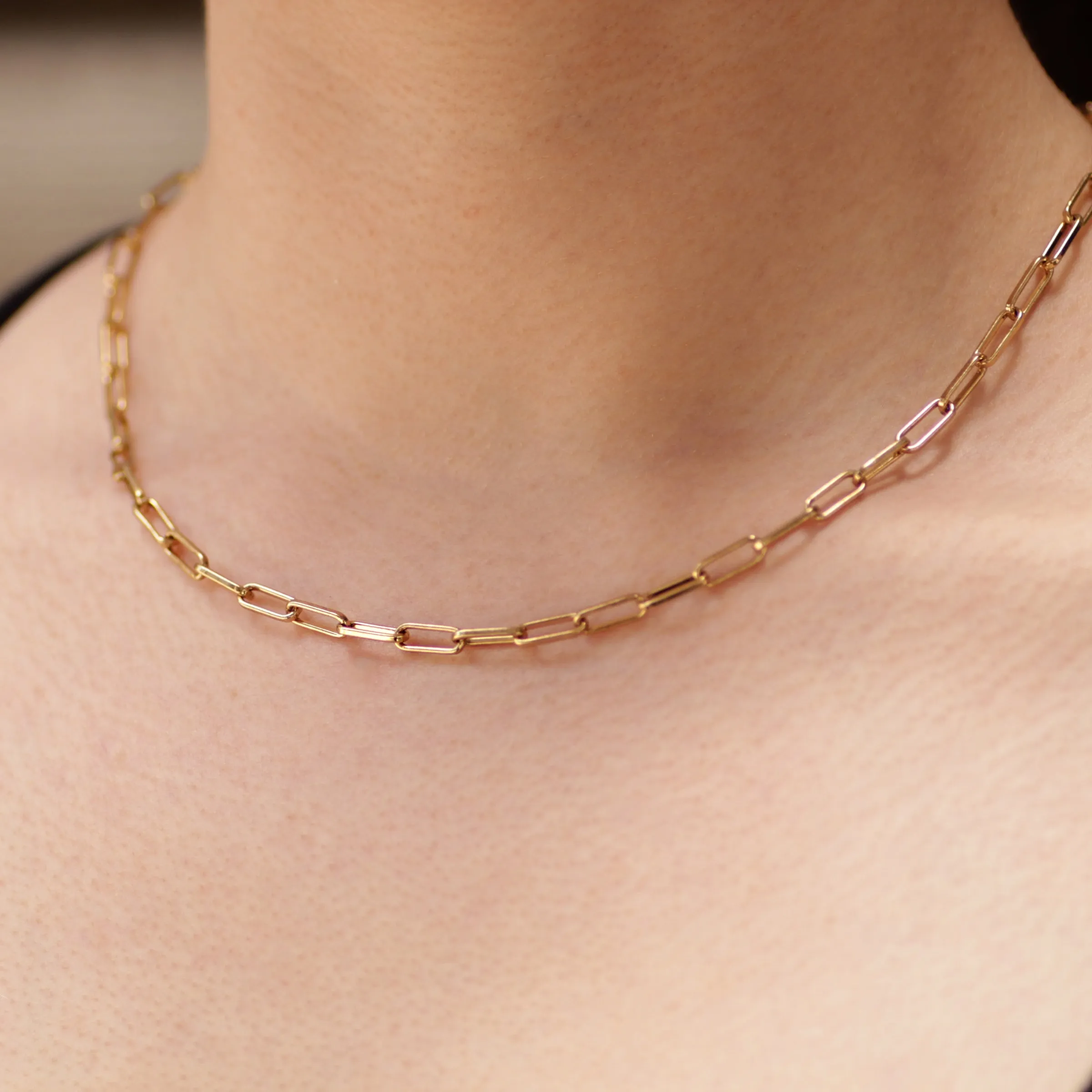 Plaza Rectangle Link Short Necklace Base - Gold sold by Lulu Frost product image thumbnail 2