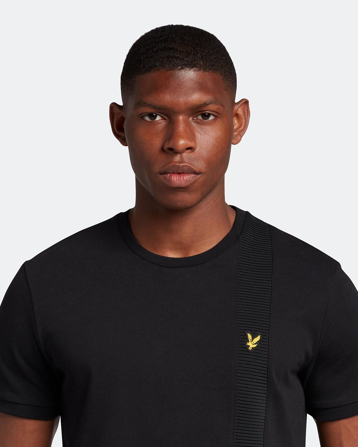 Panelled Tshirt sold by Lyle & Scott product image thumbnail 4