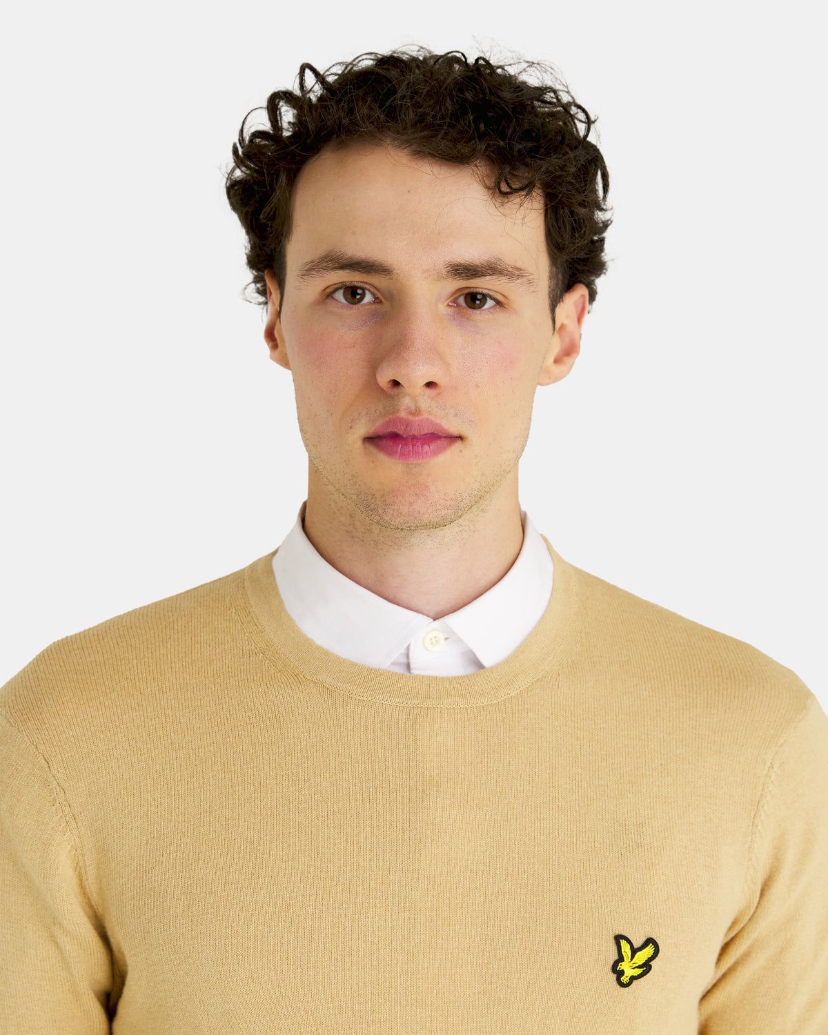 Cotton Merino Crew Neck Jumper sold by Lyle & Scott product image thumbnail 4