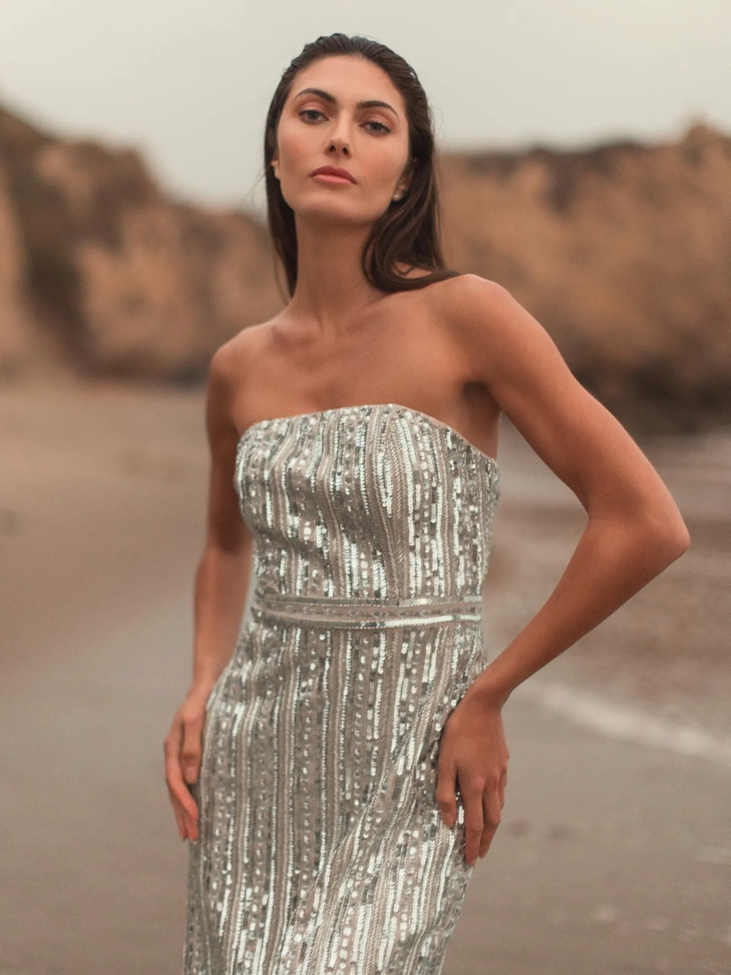 Silver and Beige Embellished Strapless Sheath Dress sold by Mac Duggal product image thumbnail 5