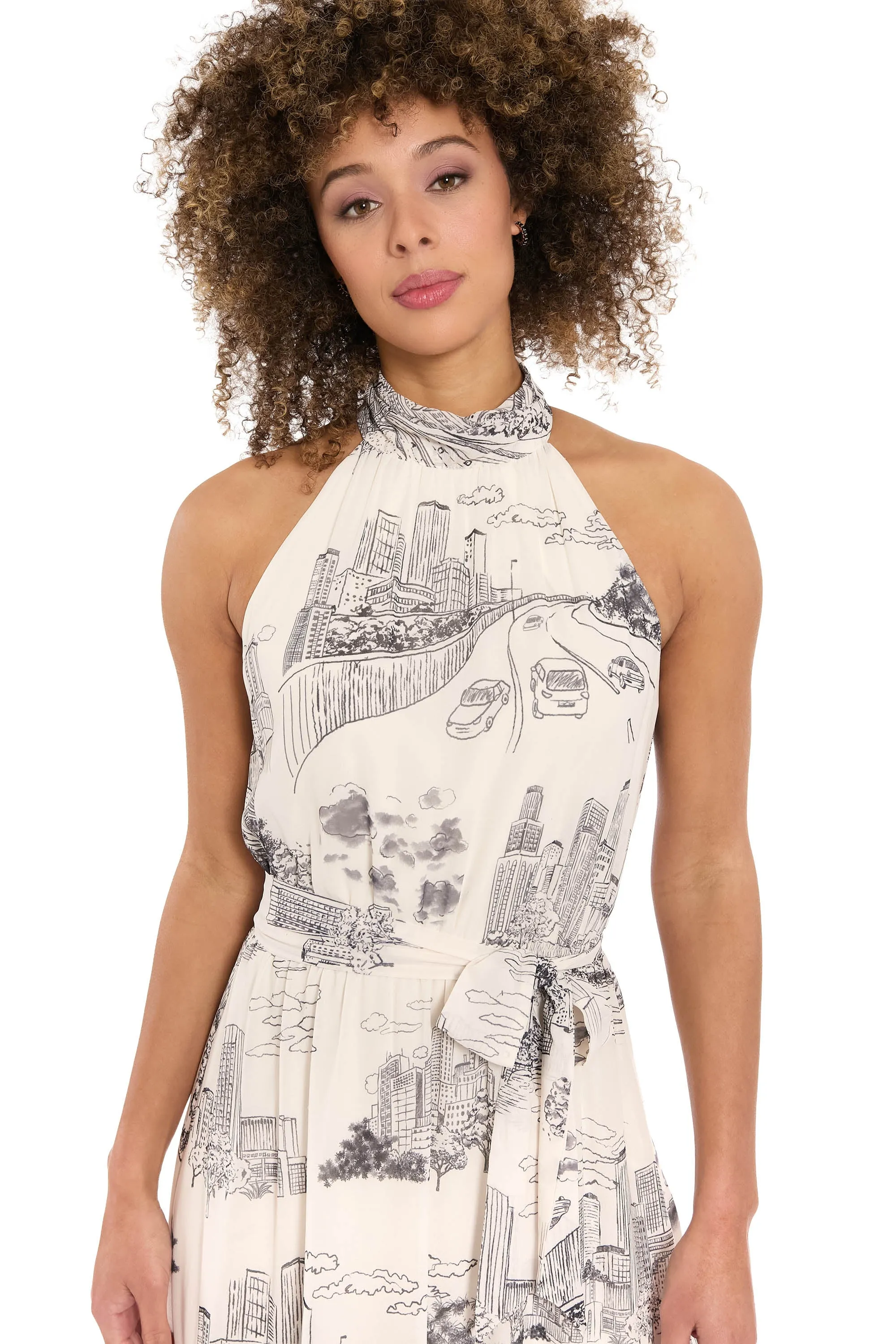 Elina Halter Ruffle Midi in Printed Toile sold by Maggy London product image thumbnail 4