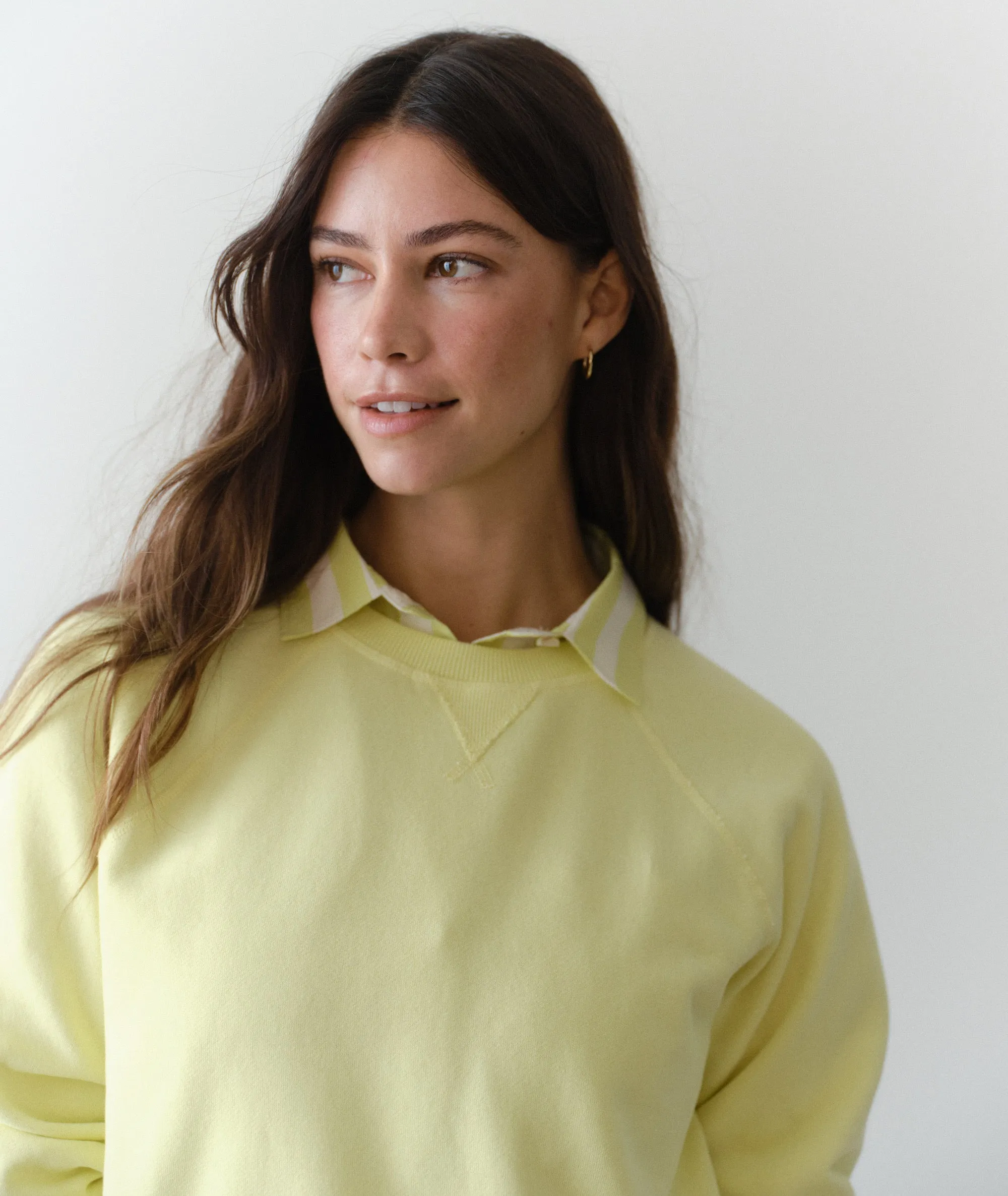 Cloud 9 Fleece Reversible Crewneck sold by Marine Layer product image thumbnail 4